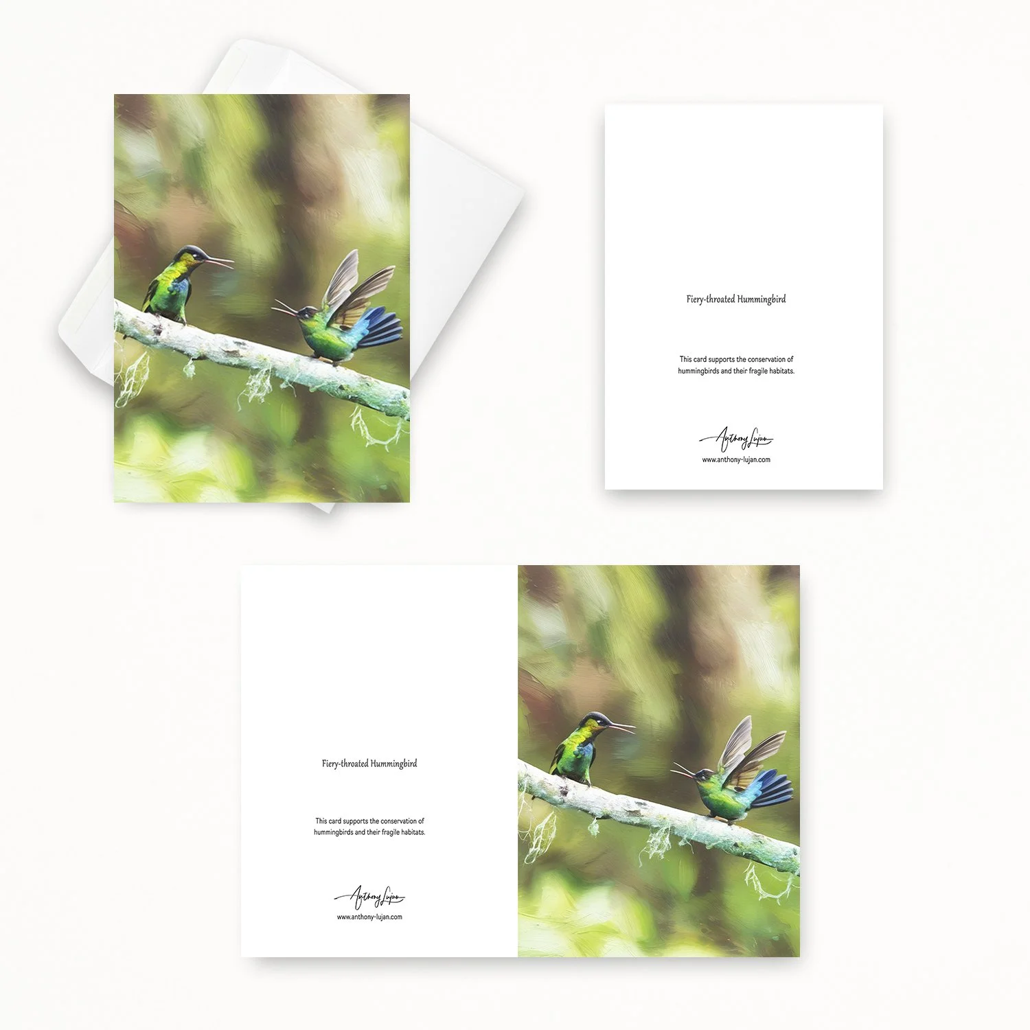 Fiery-throated Hummingbird 22.jpg
