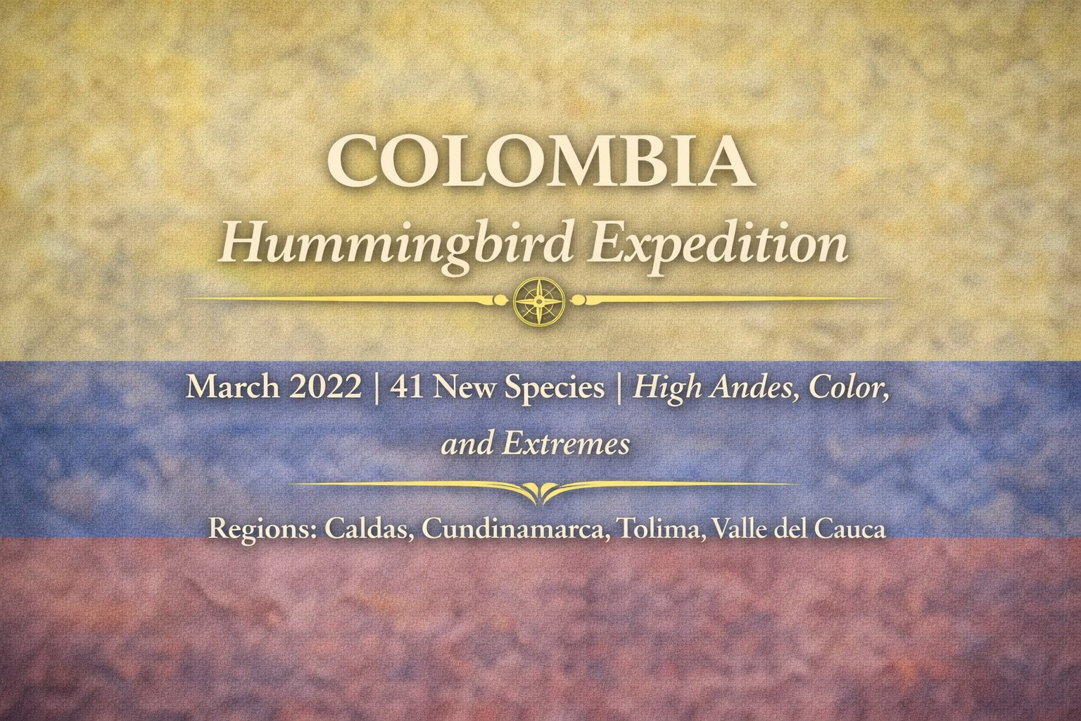 Colombia Hummingbird Expedition | March 2022