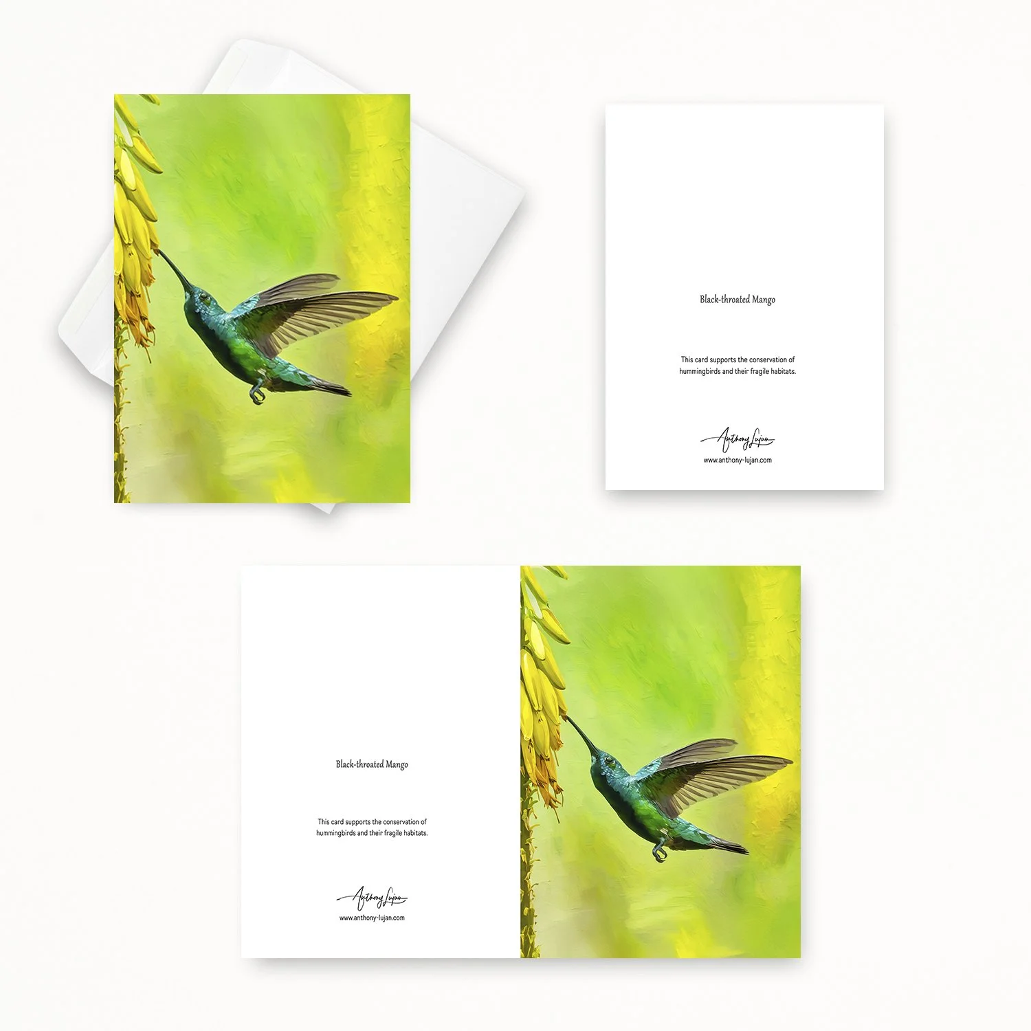 Black-throated Mango 22.jpg