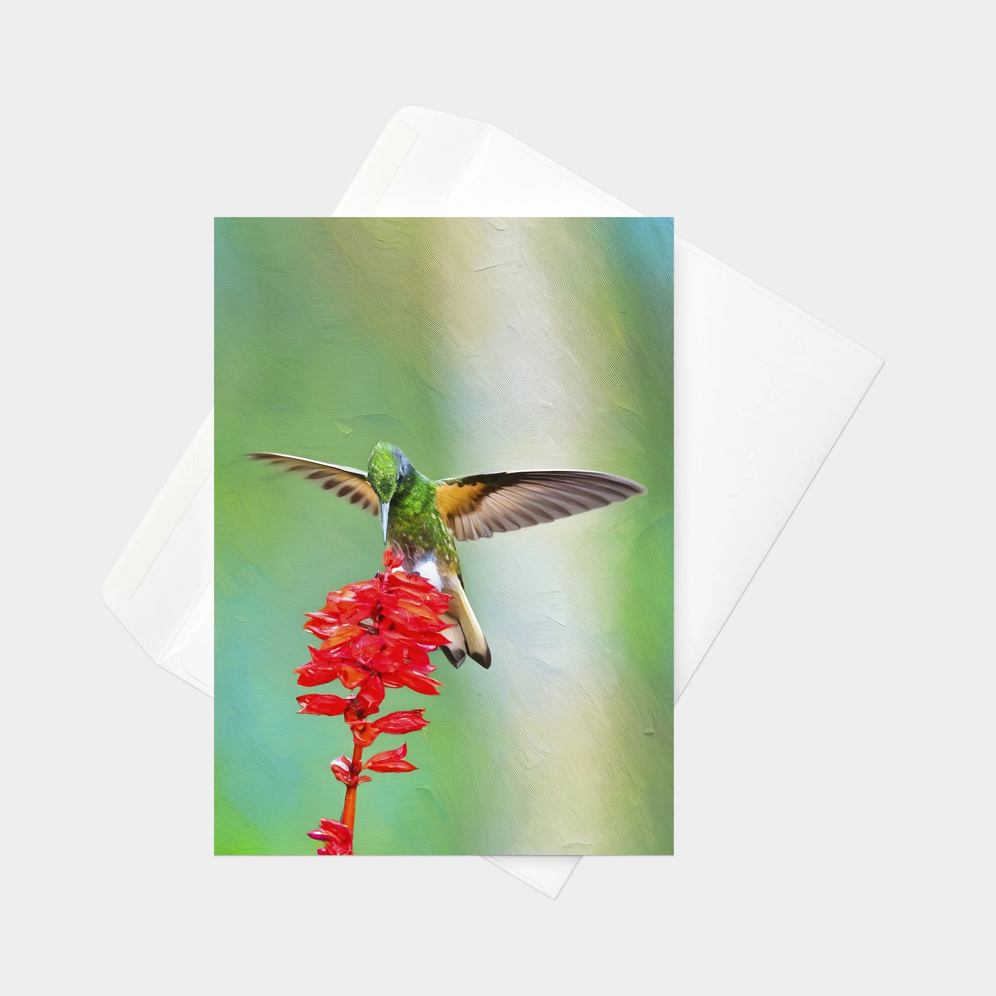 Buff-tailed Coronet 01.jpg
