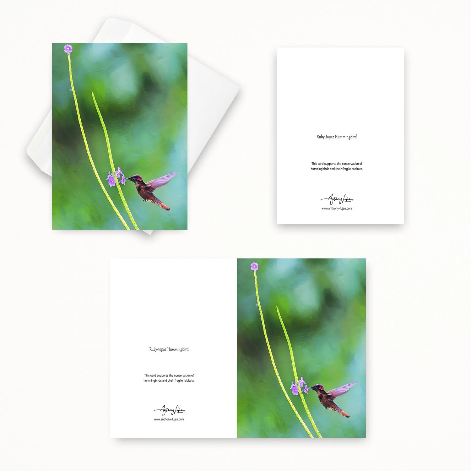Ruby-topaz Hummingbird 32.jpg