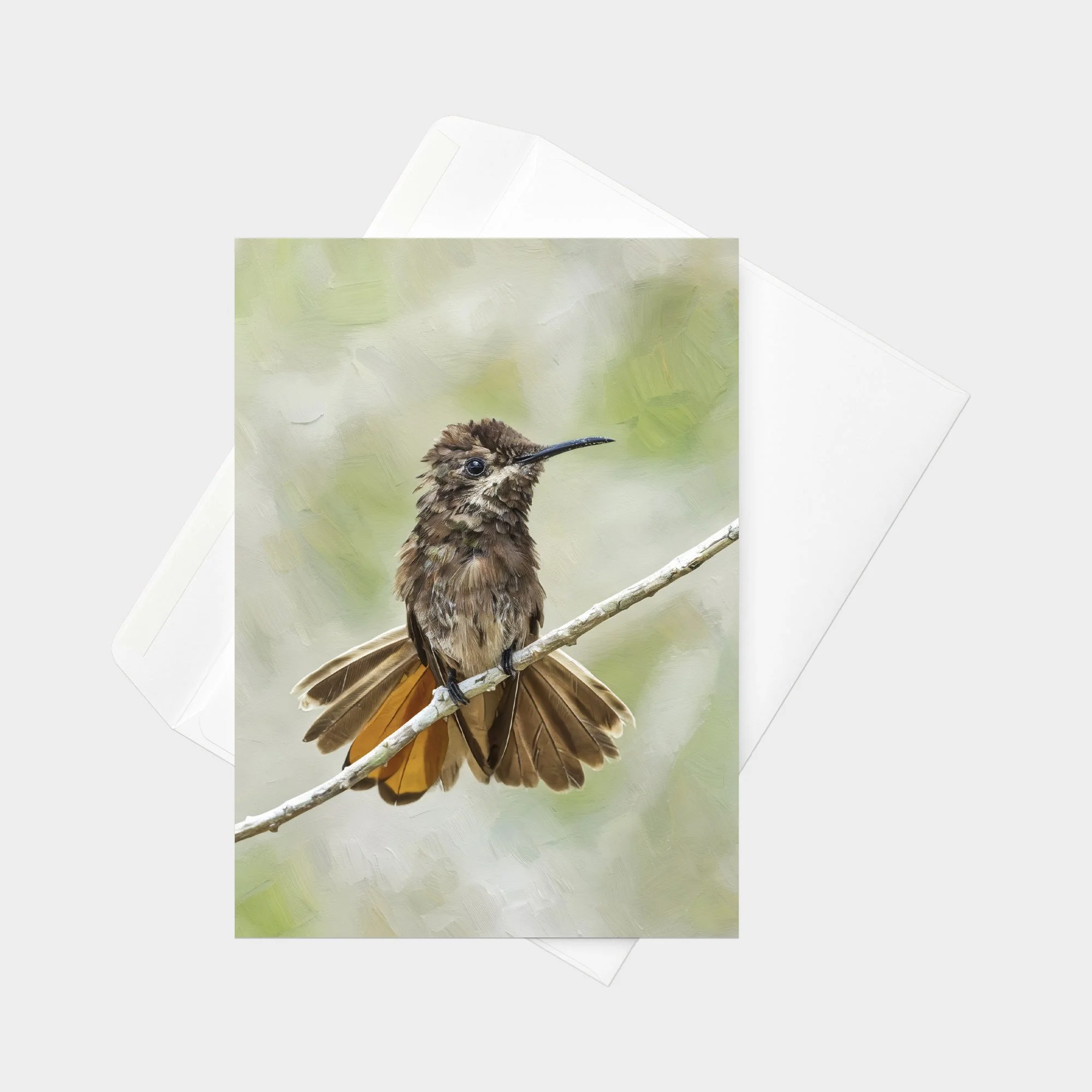 Ruby-topaz Hummingbird 02-01.jpg