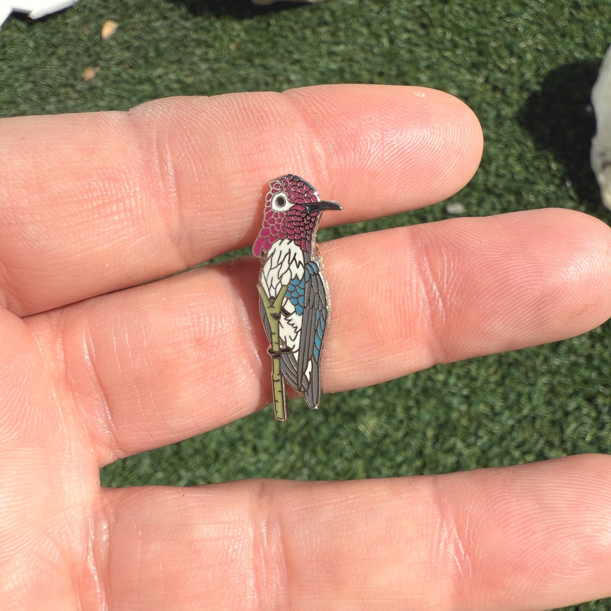 Bee+Hummingbird+hand.jpg