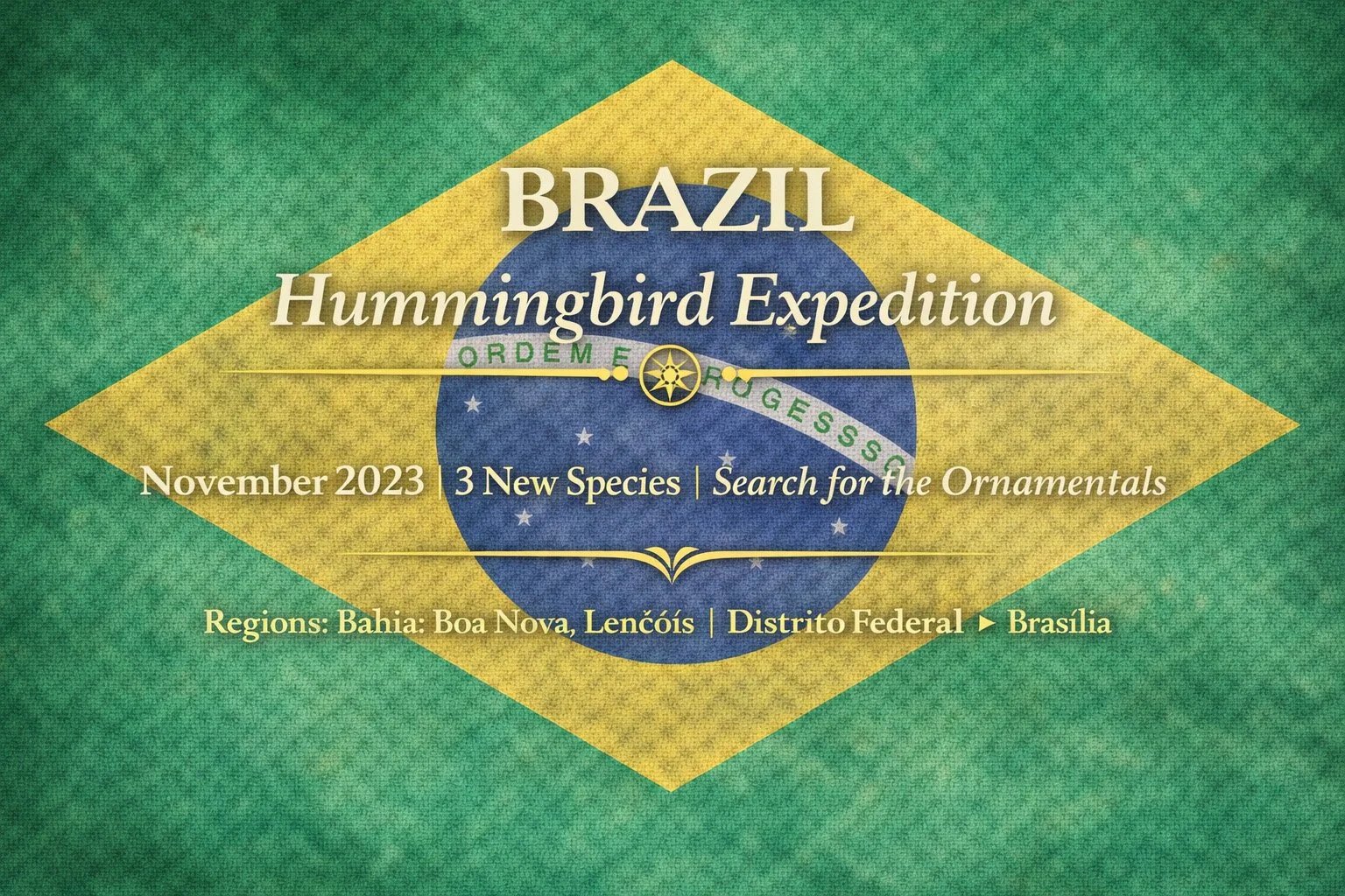 Brazil Hummingbird Expedition | November 2023