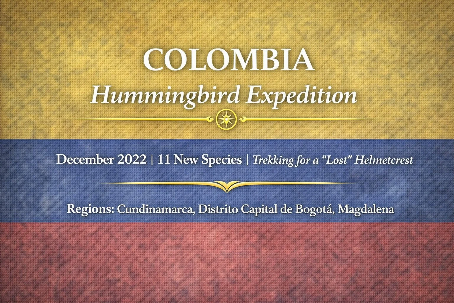 Colombia Hummingbird Expedition | December 2022