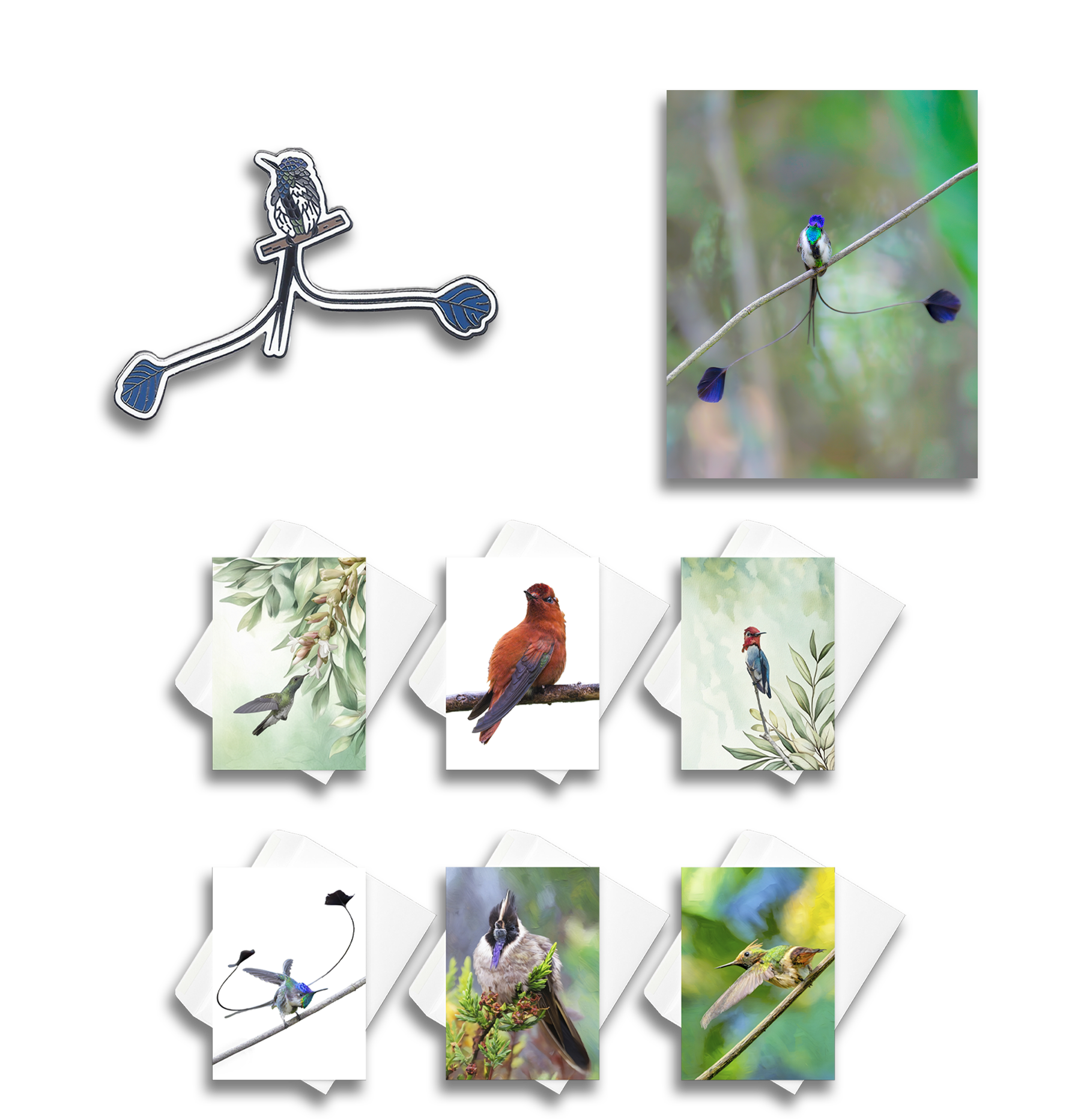 Illustration of various hummingbird species and a photograph of a hummingbird on a branch. The illustration includes a stylized hummingbird drawing, with individual photos or cards of different hummingbirds featuring their distinctive colors and features.