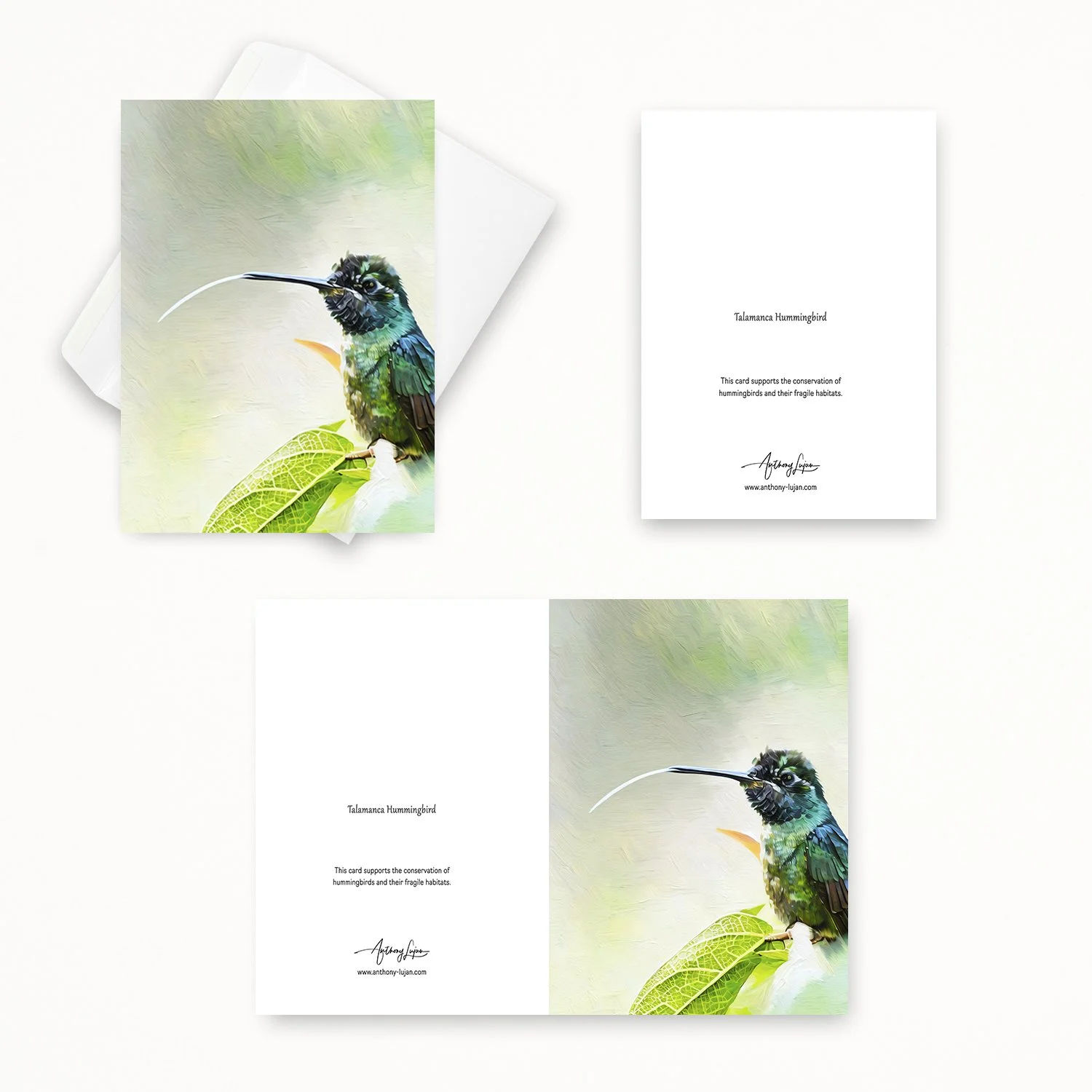 Talamanca Hummingbird 22.jpg