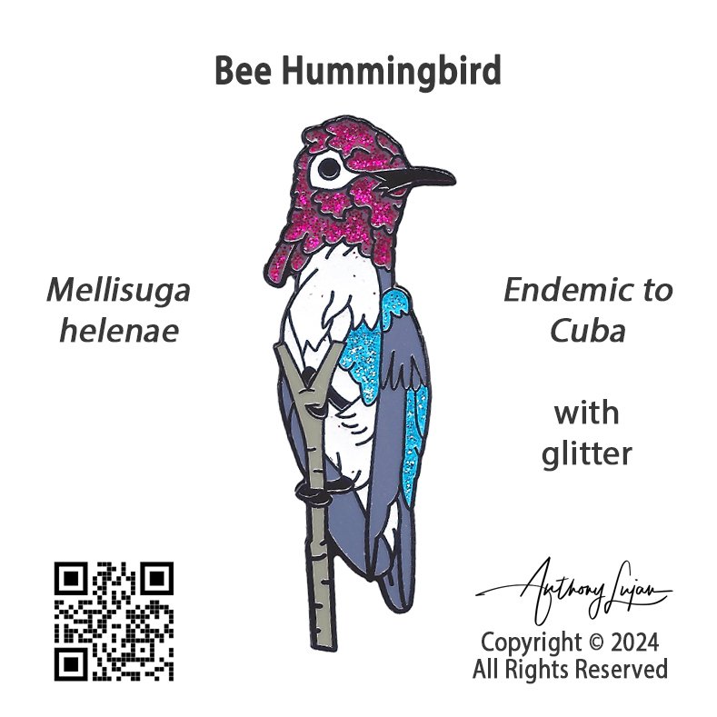 Bee Hummingbird GLITTER pin board.jpg