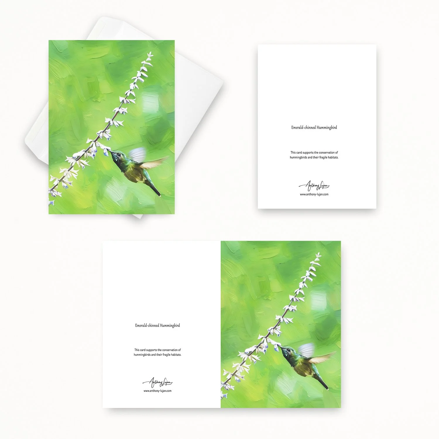 Emerald-chinned Hummingbird 02.jpg