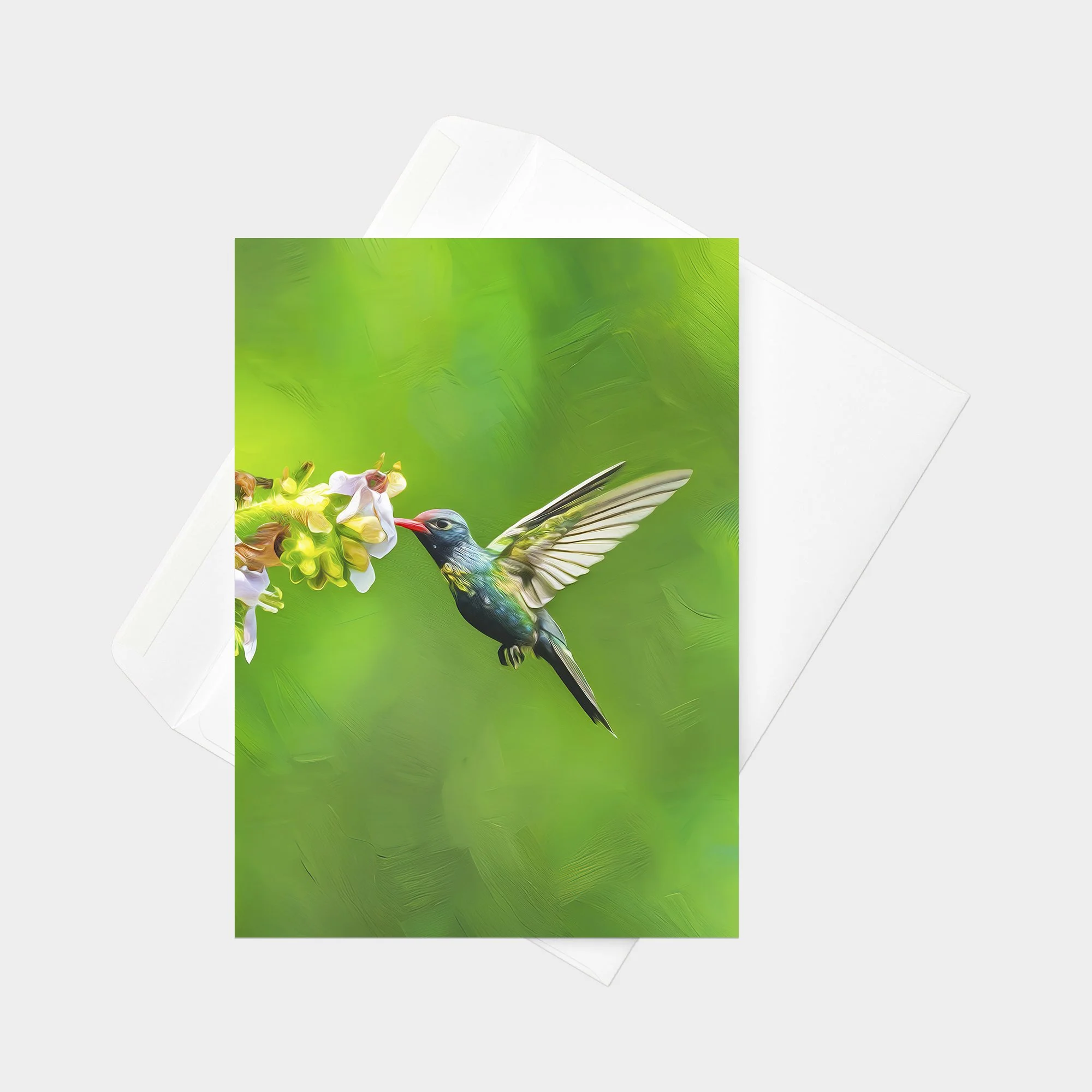 Turquoise-crowned Hummingbird 01.jpg