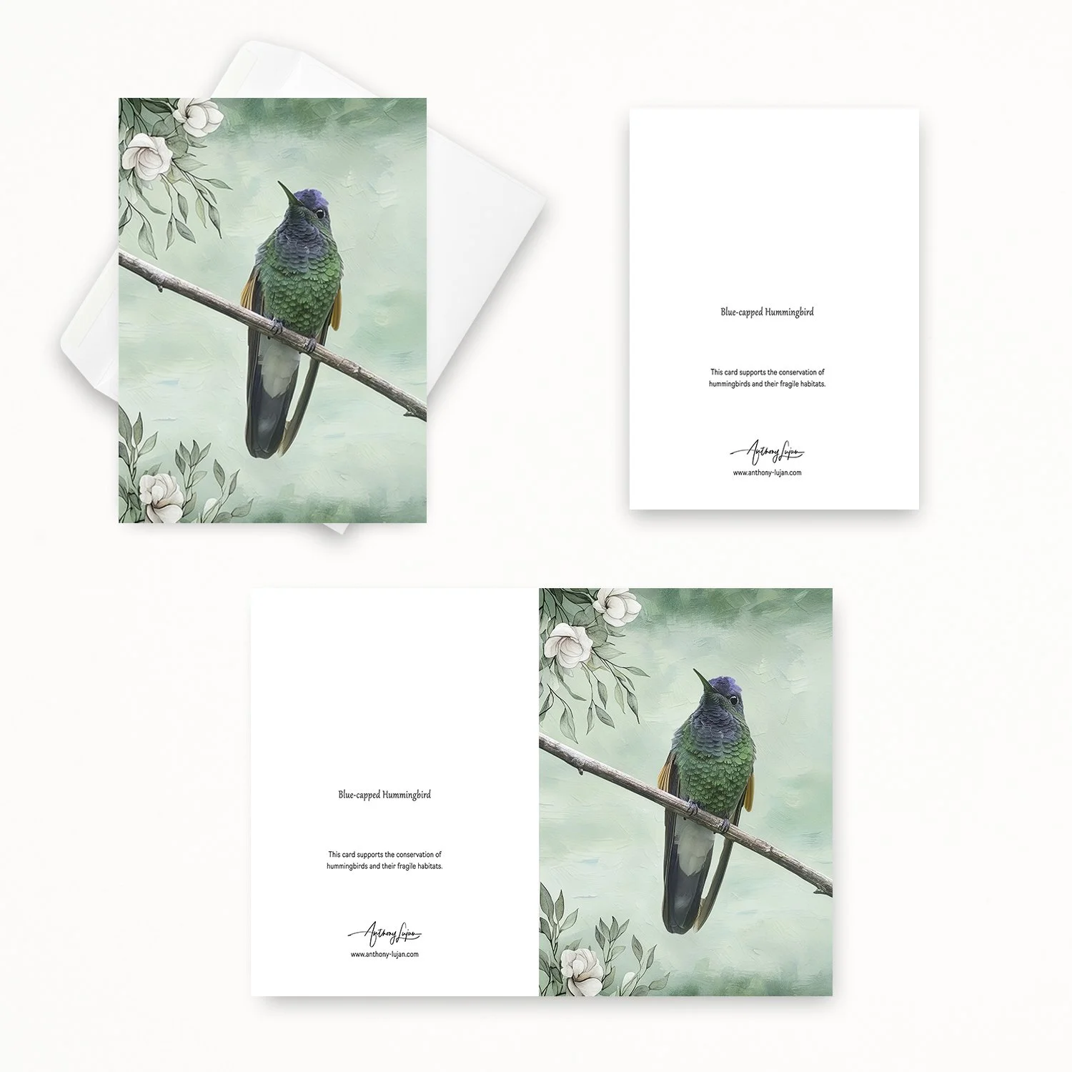 Blue-capped Hummingbird 00-2.jpg