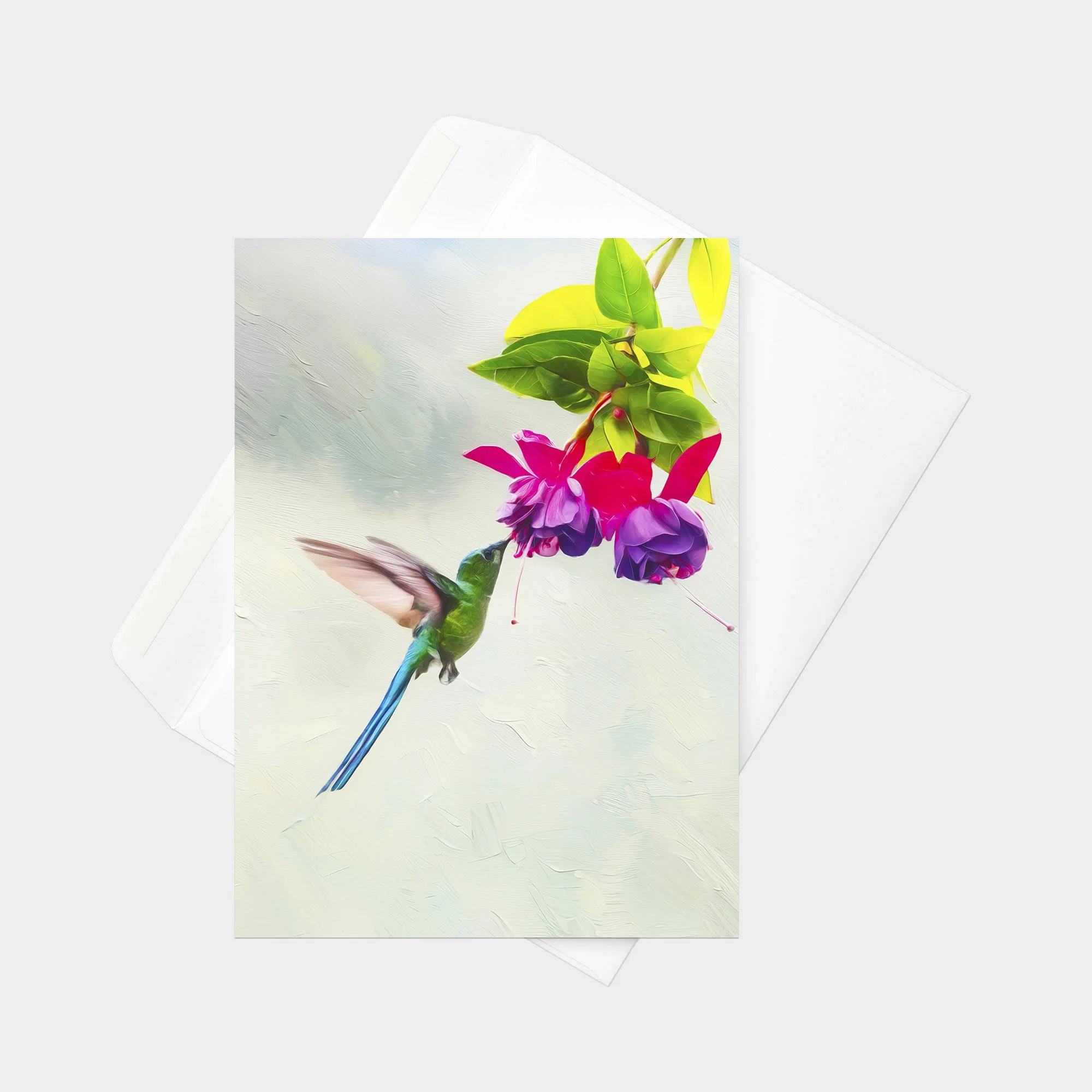 Long-tailed Sylph 21.jpg