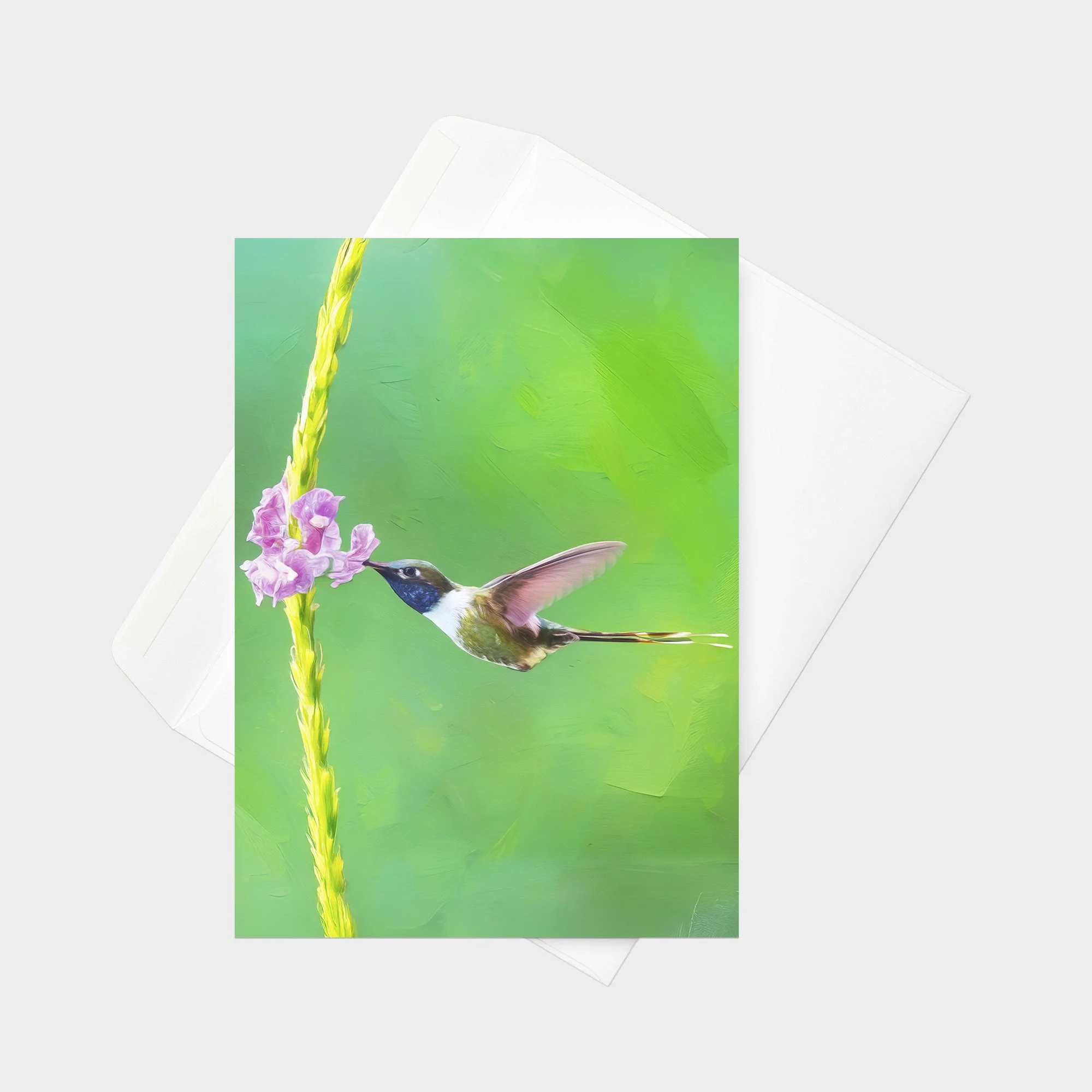Sparkling-tailed Hummingbird 01.jpg