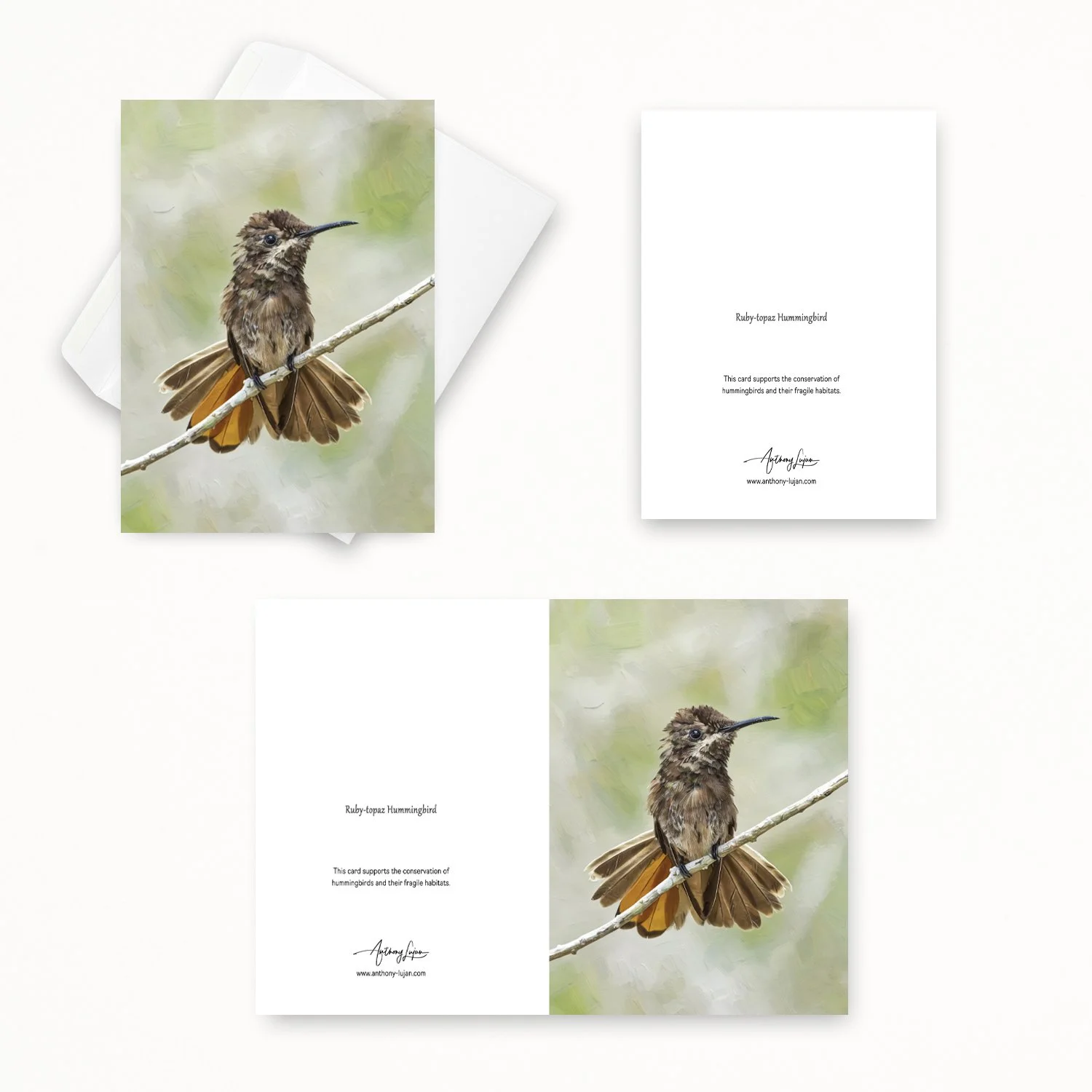 Ruby-topaz Hummingbird 02-02.jpg