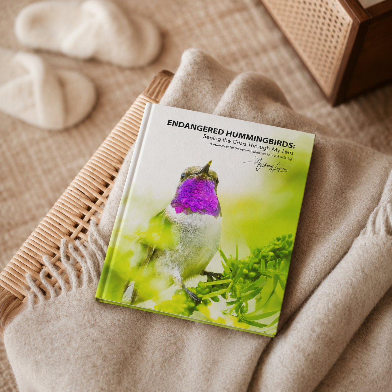 Endangered Hummingbirds: Seeing the Crisis Through My Lens - Hardcover