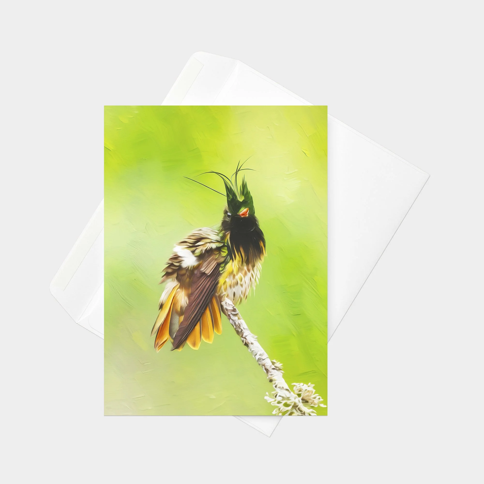 Black-crested Coquette 01.jpg