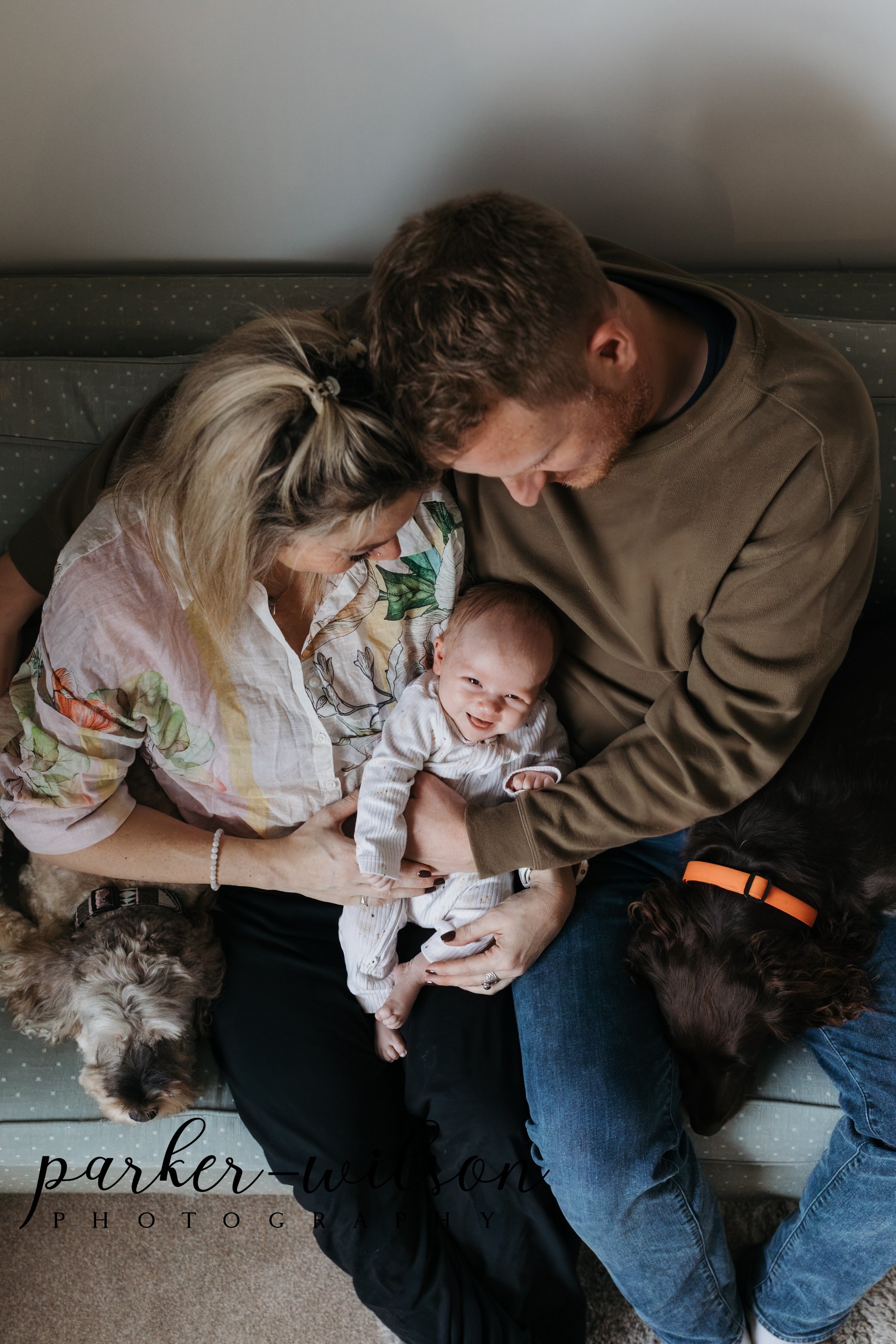 family newborn photos, dogs in newborn photos, newborn photos at home, parker-wilson photography