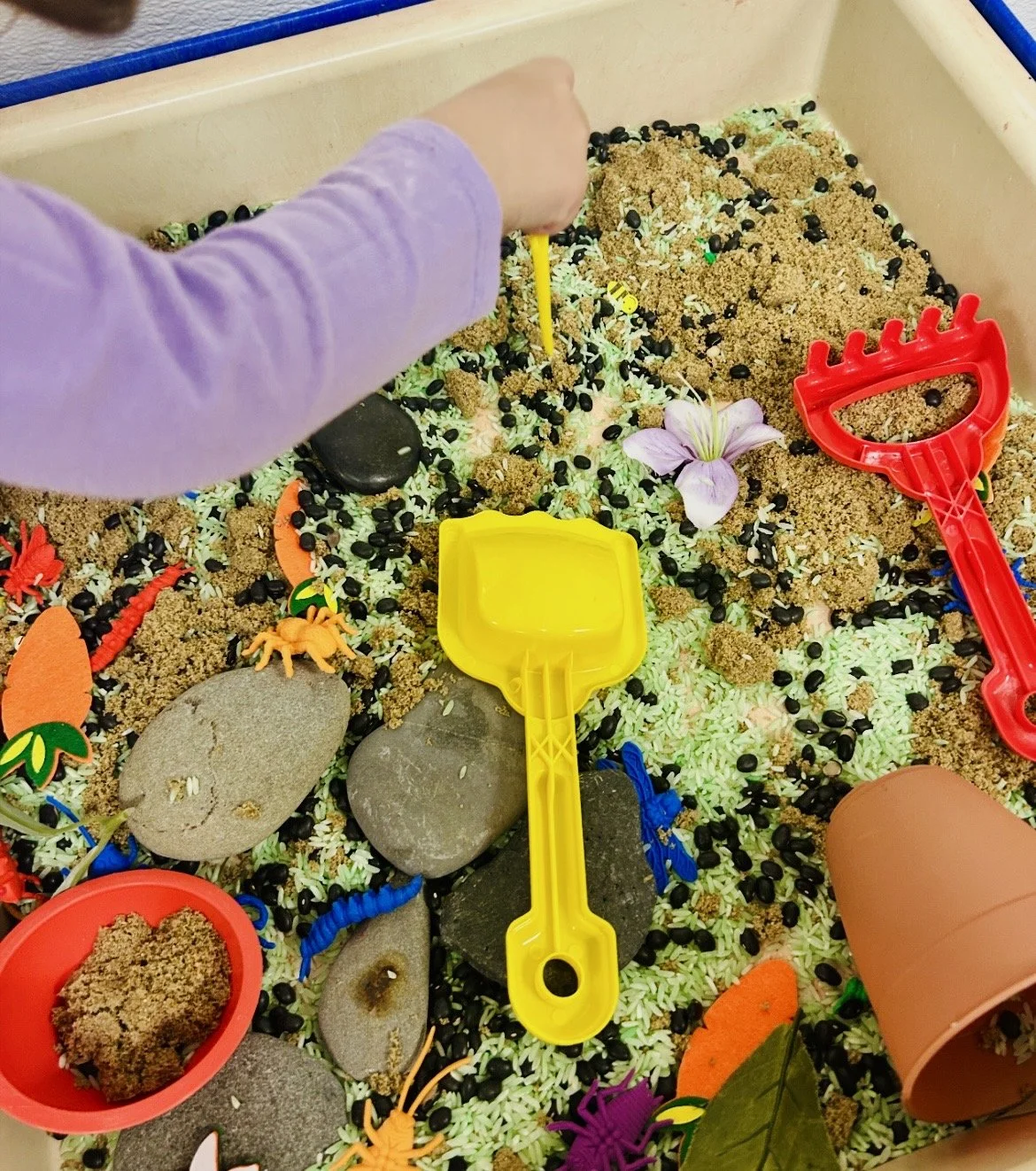 Happy Day Centralia WA (3).jpeg