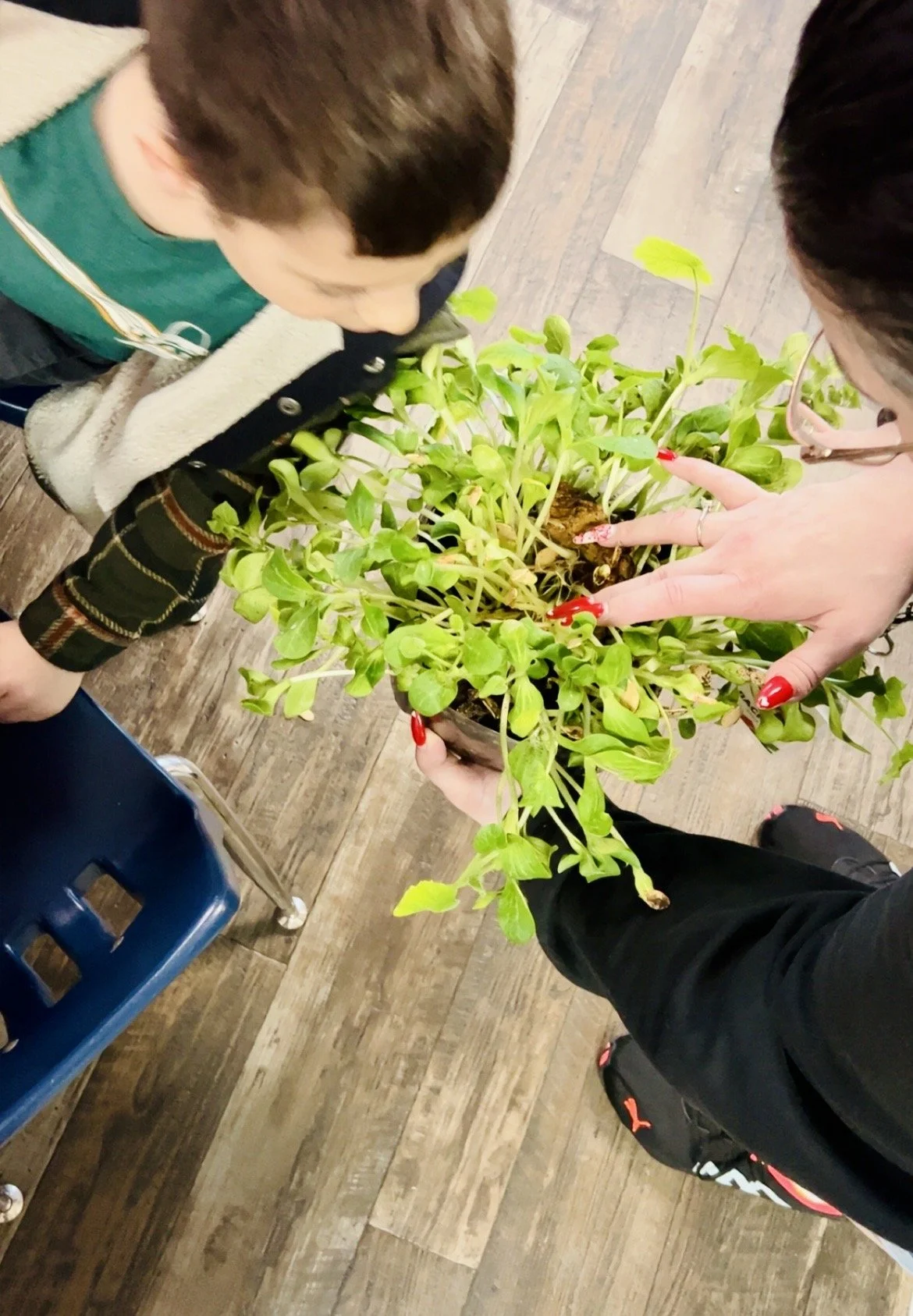 Happy Day Centralia WA (5).jpeg
