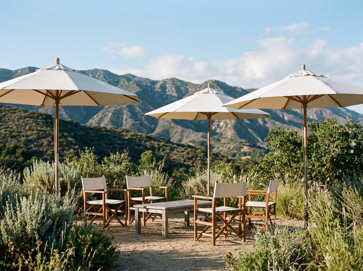 RENTAL 1 (TENTS, UMBRELLAS, DIRECTOR'S CHAIRS)