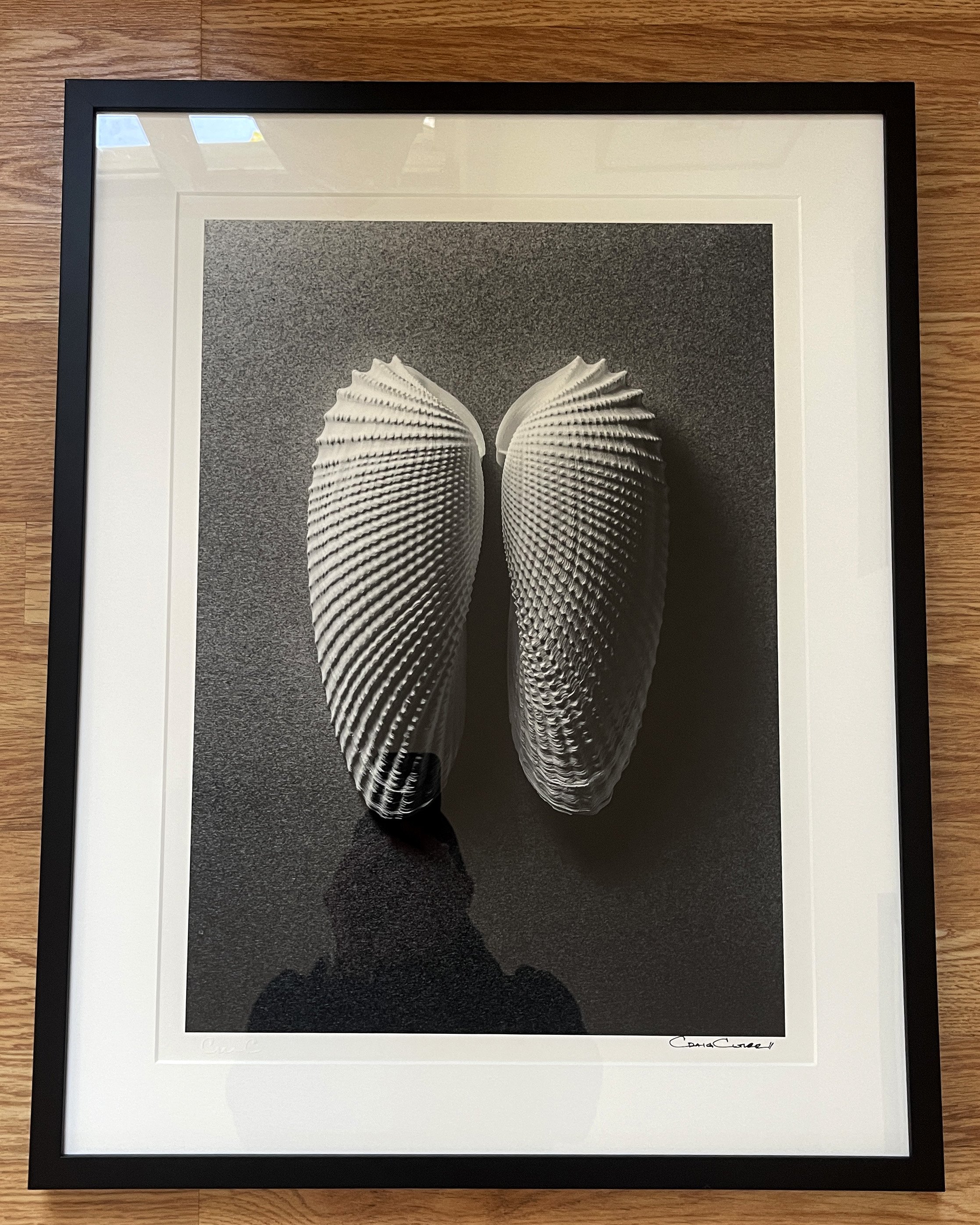 2. Craig Cutler - Signed and Framed Archival Ink Jet. Print size 14X19  Frame size 21X16.5 