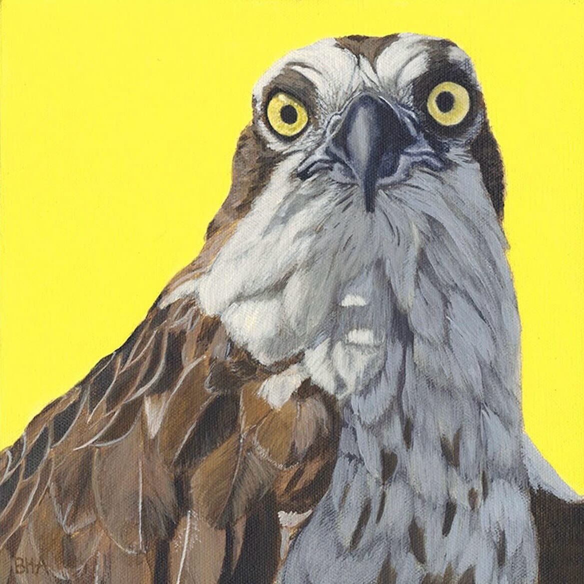 I&rsquo;m working on a black bear at the moment that is reminding me of this piece in some ways. This is one of my favorite paintings. I just feel like this osprey is really saying something😬

&lsquo;Lady Gaze&rsquo;
Sold
Limited Edition Prints Avai