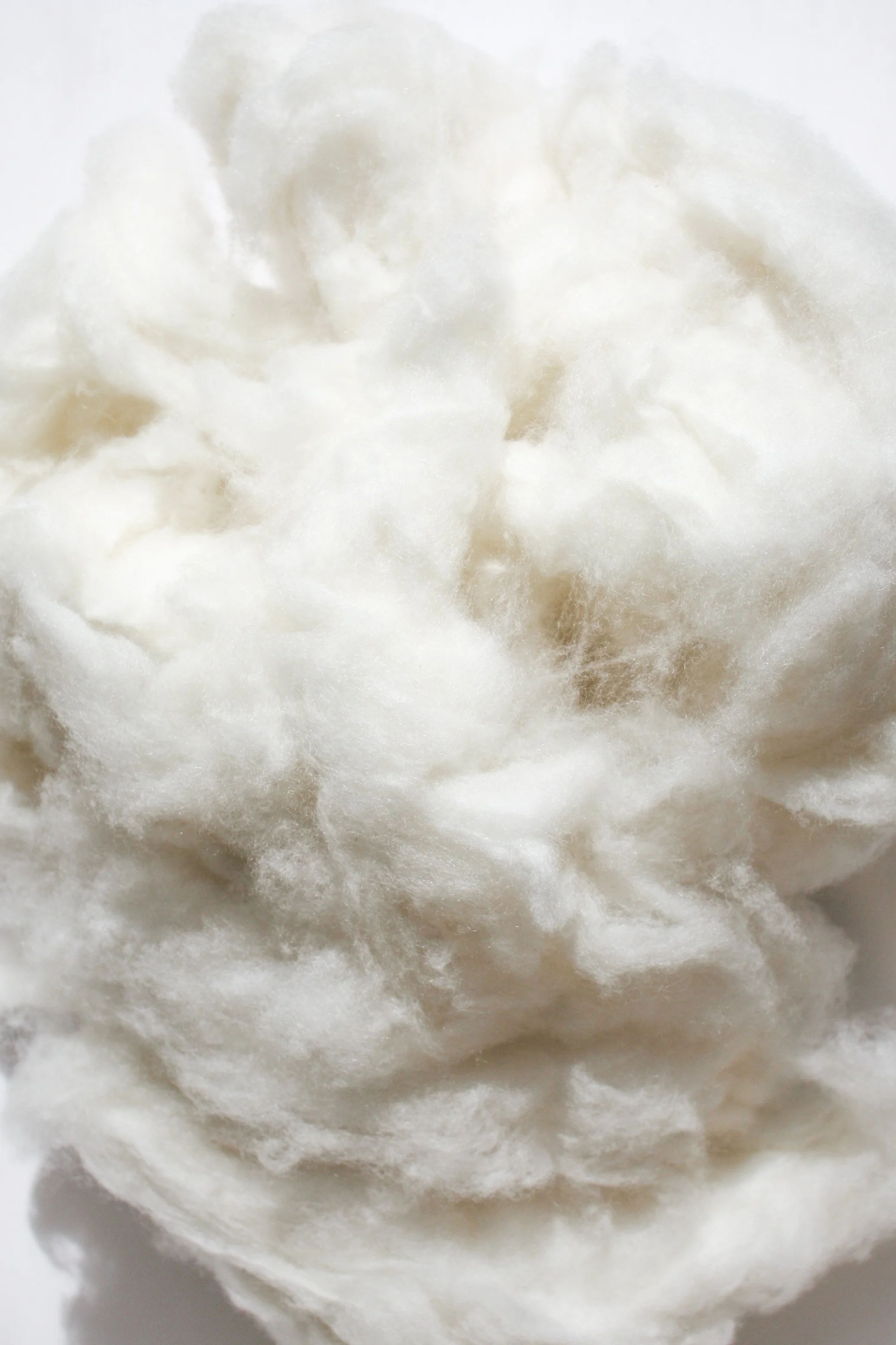 Image montrant de la laine ou de la mèche de coton blanche et douce