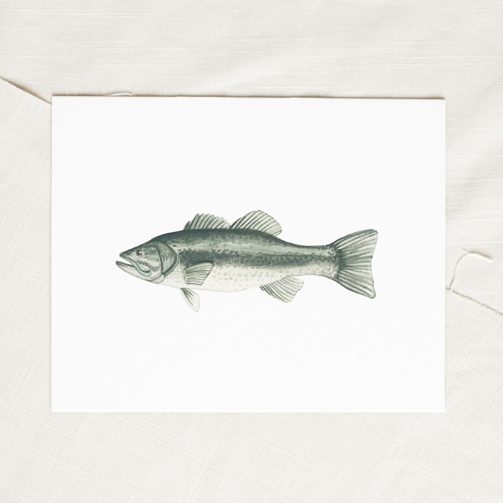 Large Mouth Bass Watercolor — Carson Bradbury