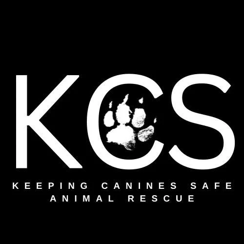 Logo for KCS, featuring a paw print inside the letter 'O', with text below that reads 'Keeping Canines Safe Animal Rescue'.