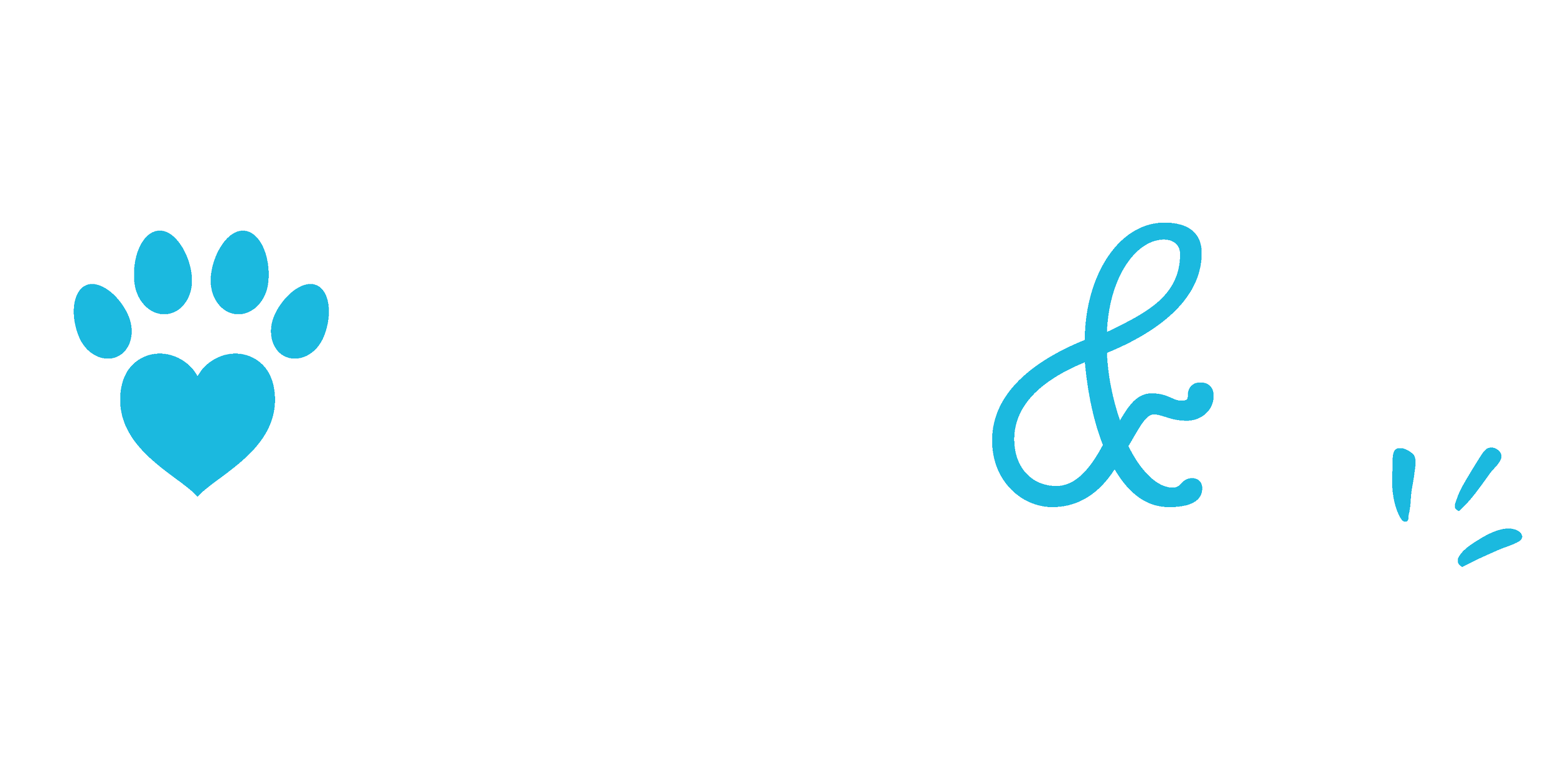 Text saying 'Paws & Partners' with a blue paw print and heart icon. The phrase has a playful font with a heart and spark accents.