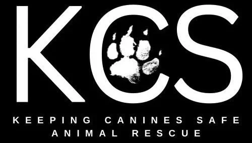 Logo with the letters K, C, and S, featuring a paw print inside the letter O, and the text 'Keeping Canines Safe Animal Rescue'.