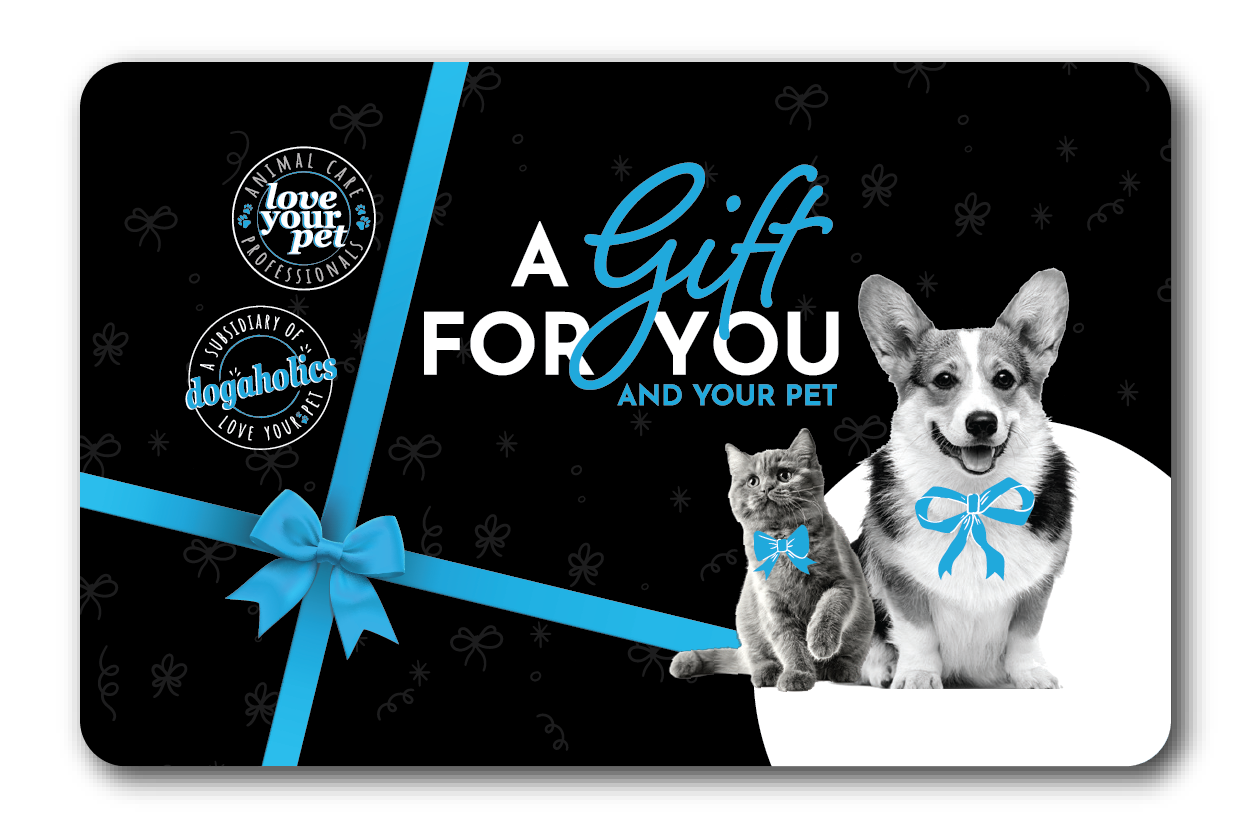 Black gift box with a blue ribbon and bow, containing a smiling corgi dog with a blue bow tie and a gray cat with a blue bow tie. Text on the box reads 'A gift for you and your pet'. Additional logos say 'Love your pet' and 'dogaholics'.