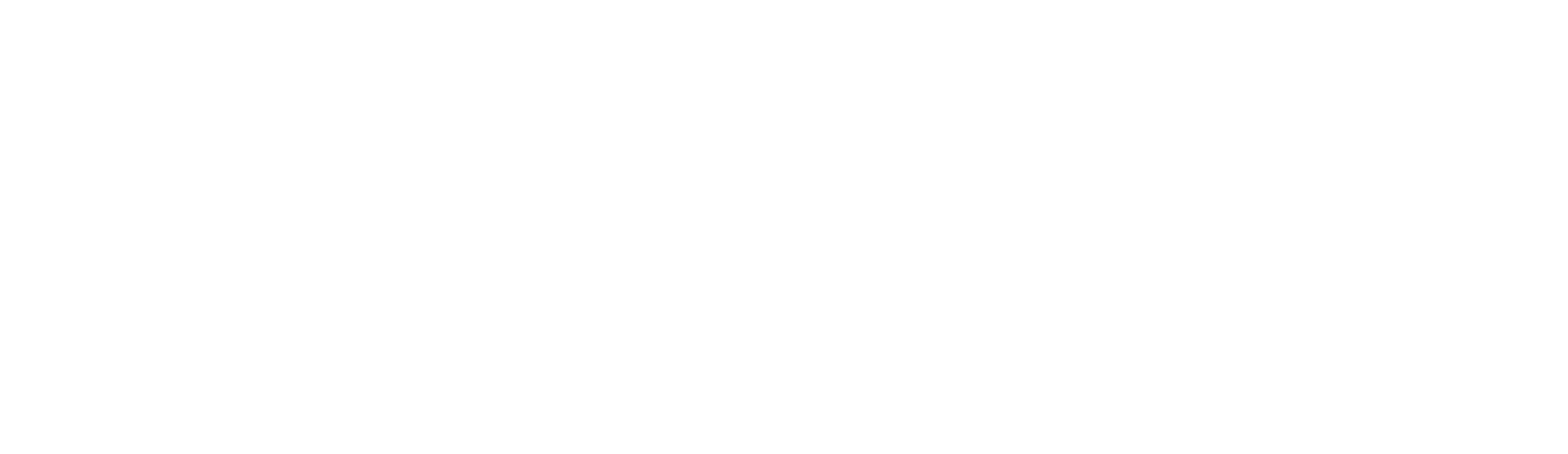 Anne Marie - Flute