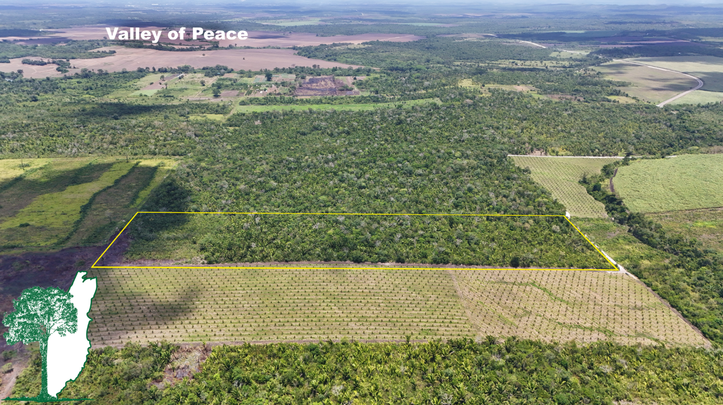Valley of Peace (3).png