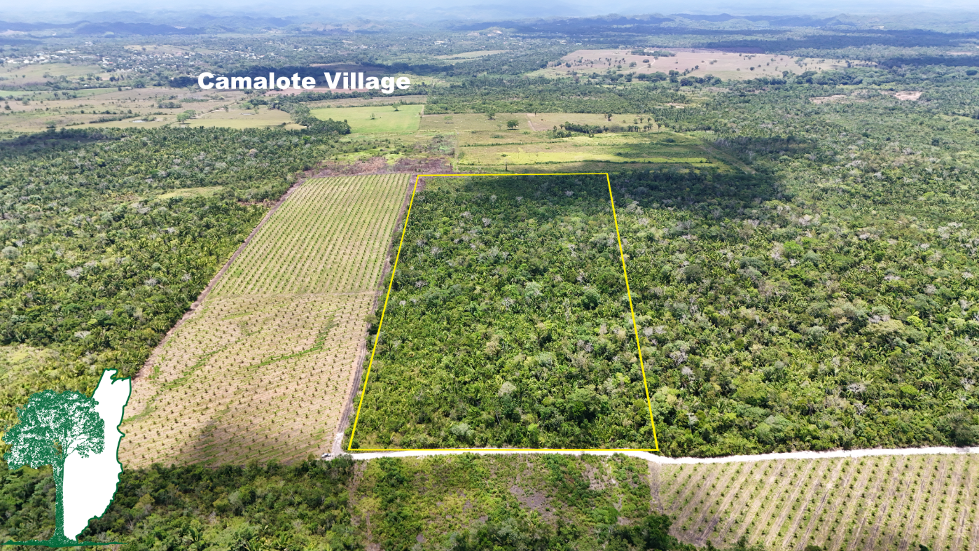 Valley of Peace (1).png