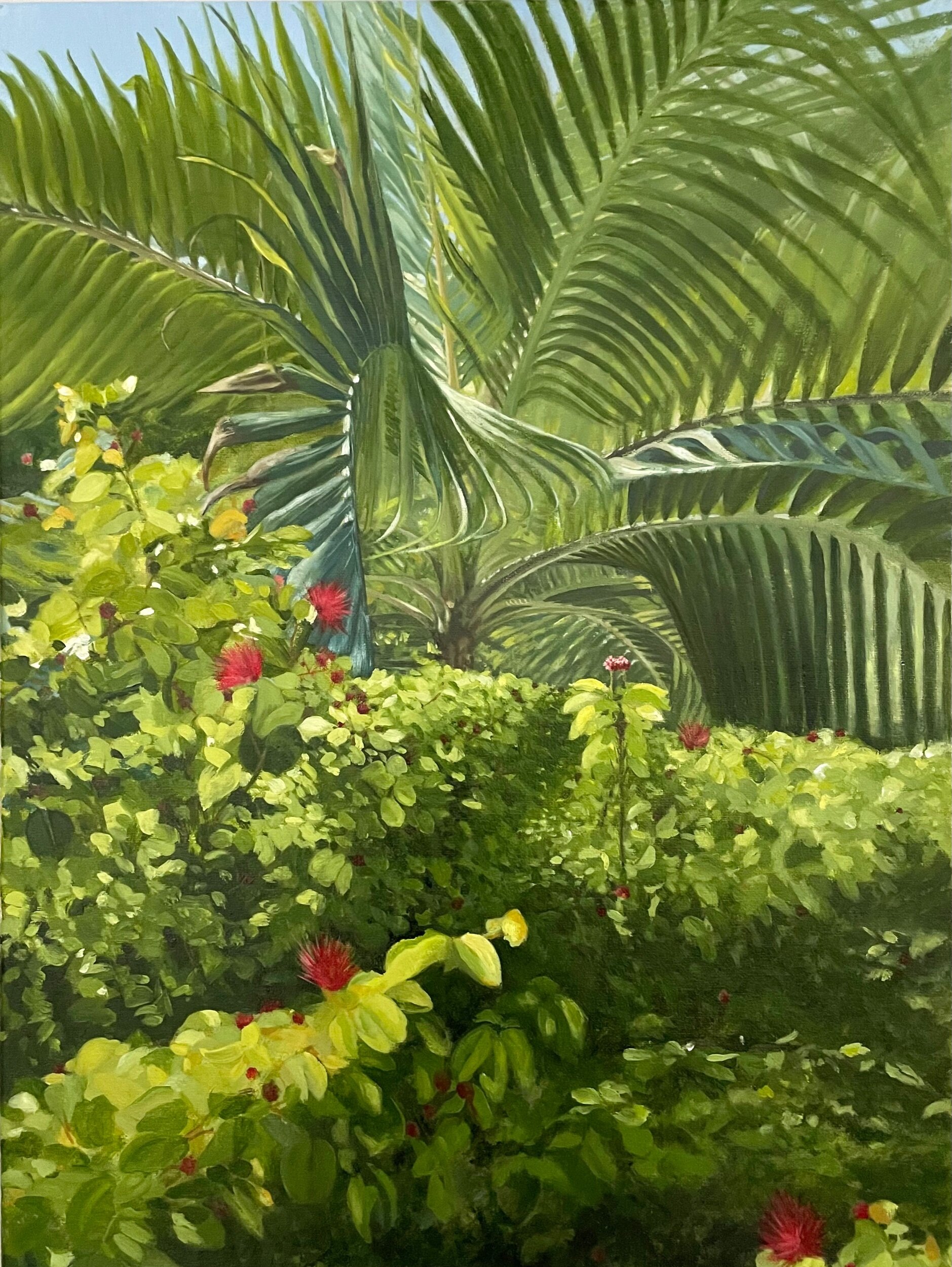 Light thru the palms