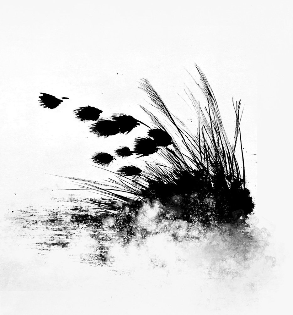 Sketches - March 2025