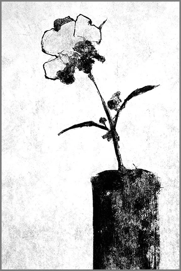 Art of the Ordinary