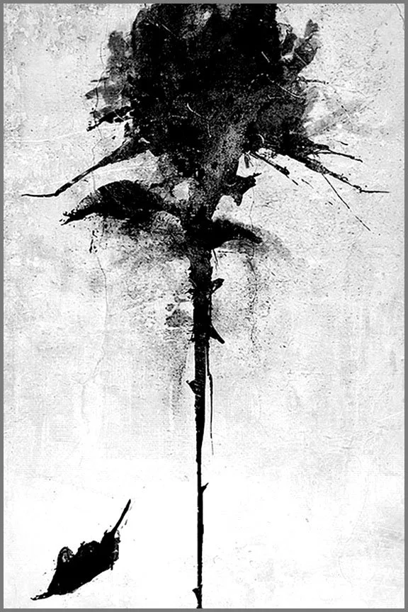 Art of Evolution