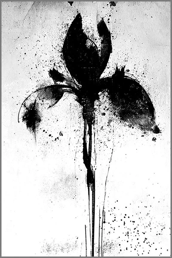 Art of Looking Inward