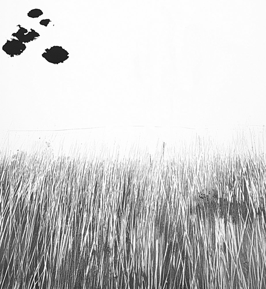 Sketches - April 2025