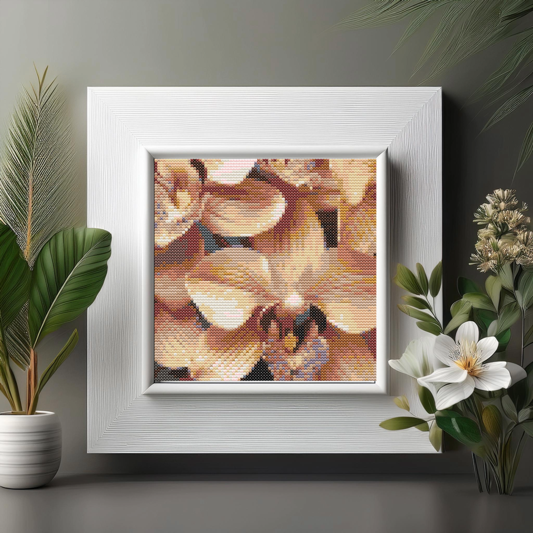 Orchid Blossom in Frame.png