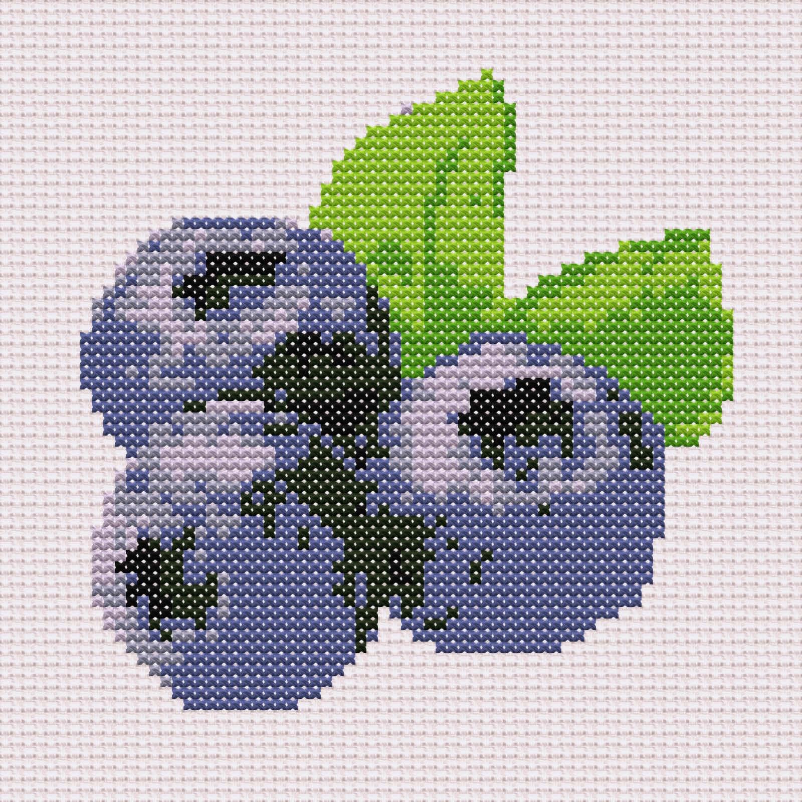 Blueberries_Page_1_Image_0001.jpg