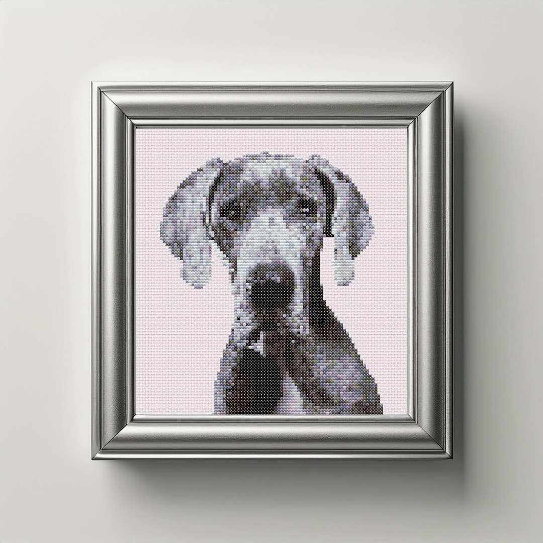 Weimaraner in Frame.png