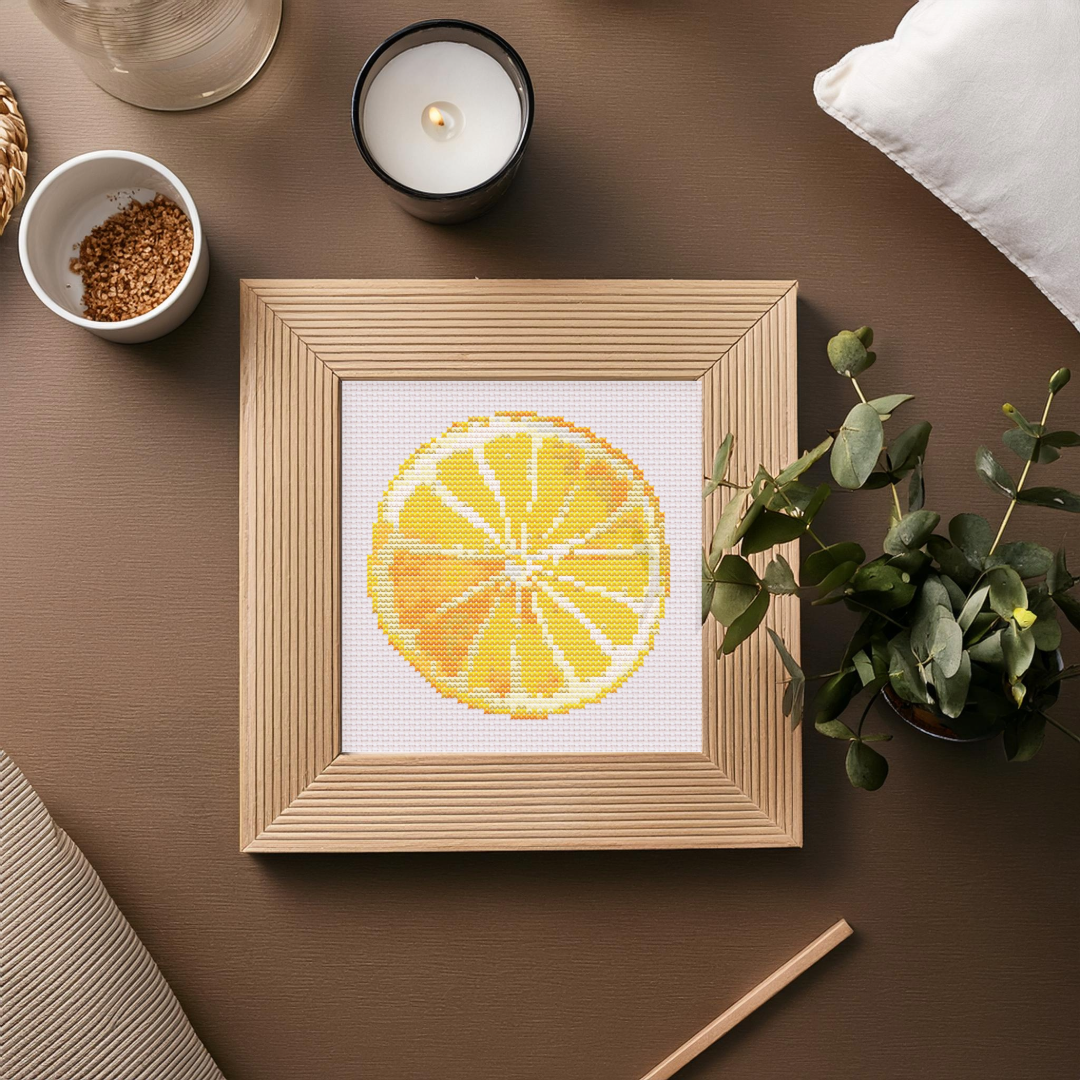 lemon slice in frame.png