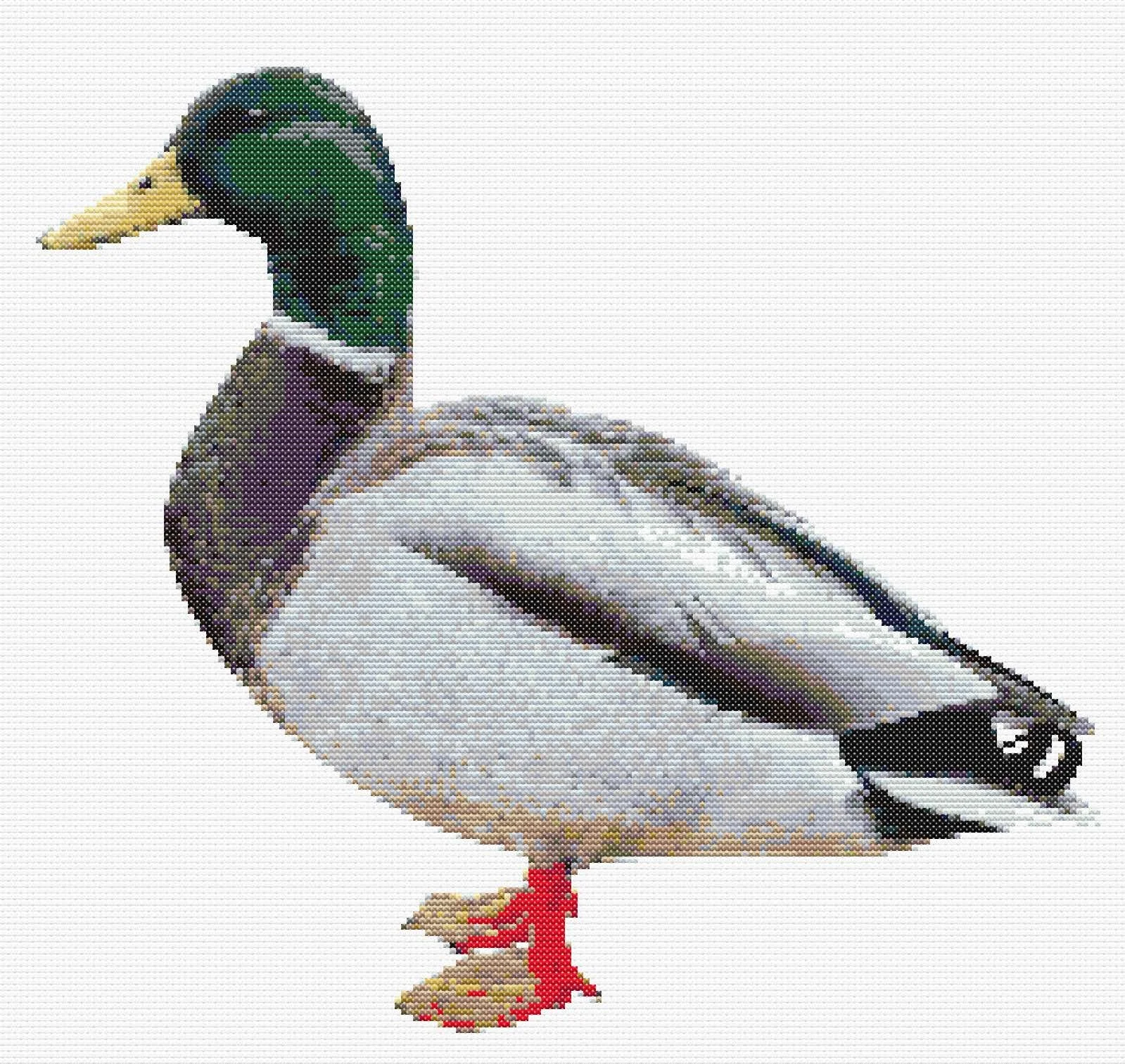 Mallard Duck Cross Stitch Pattern: Digital Download