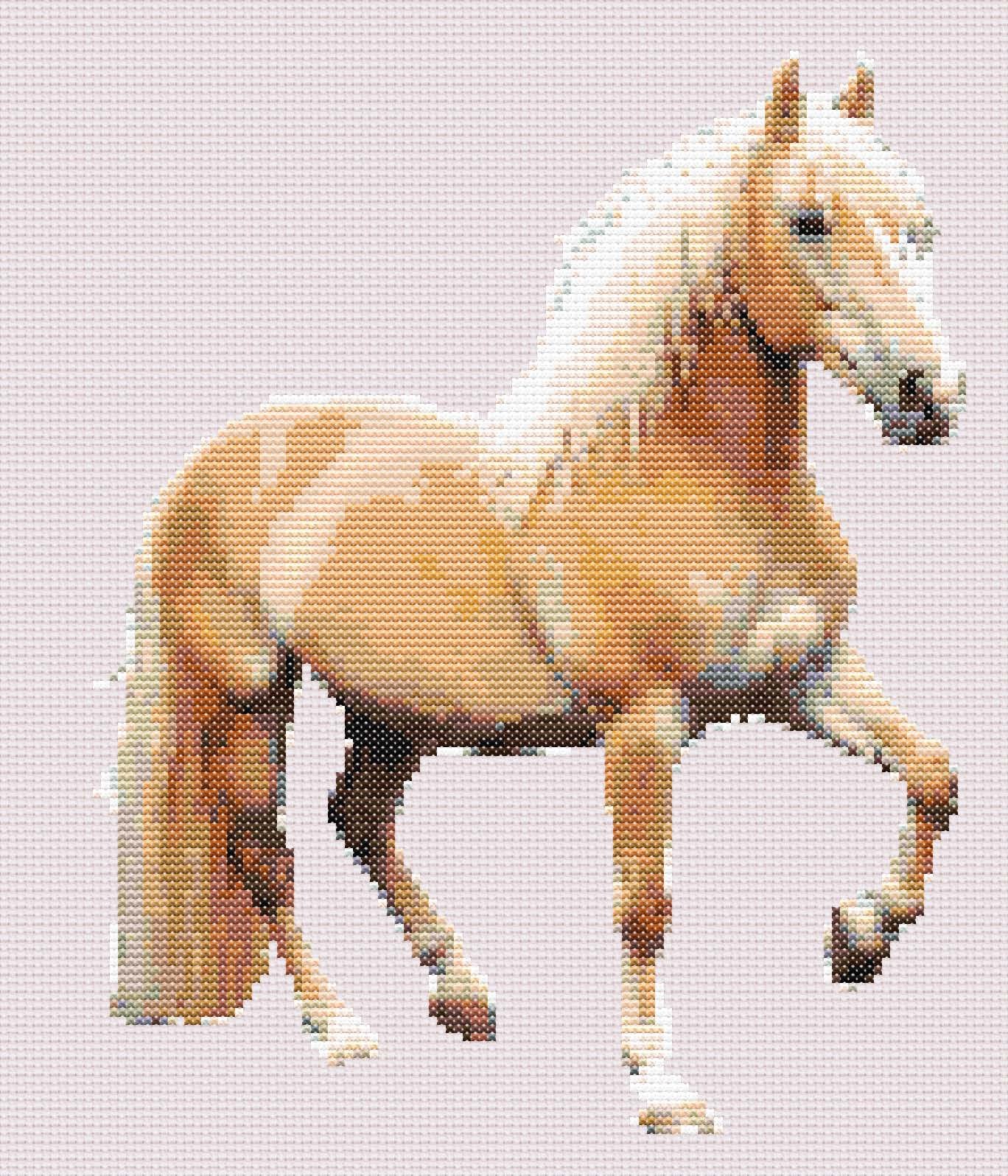 Palomino.jpg