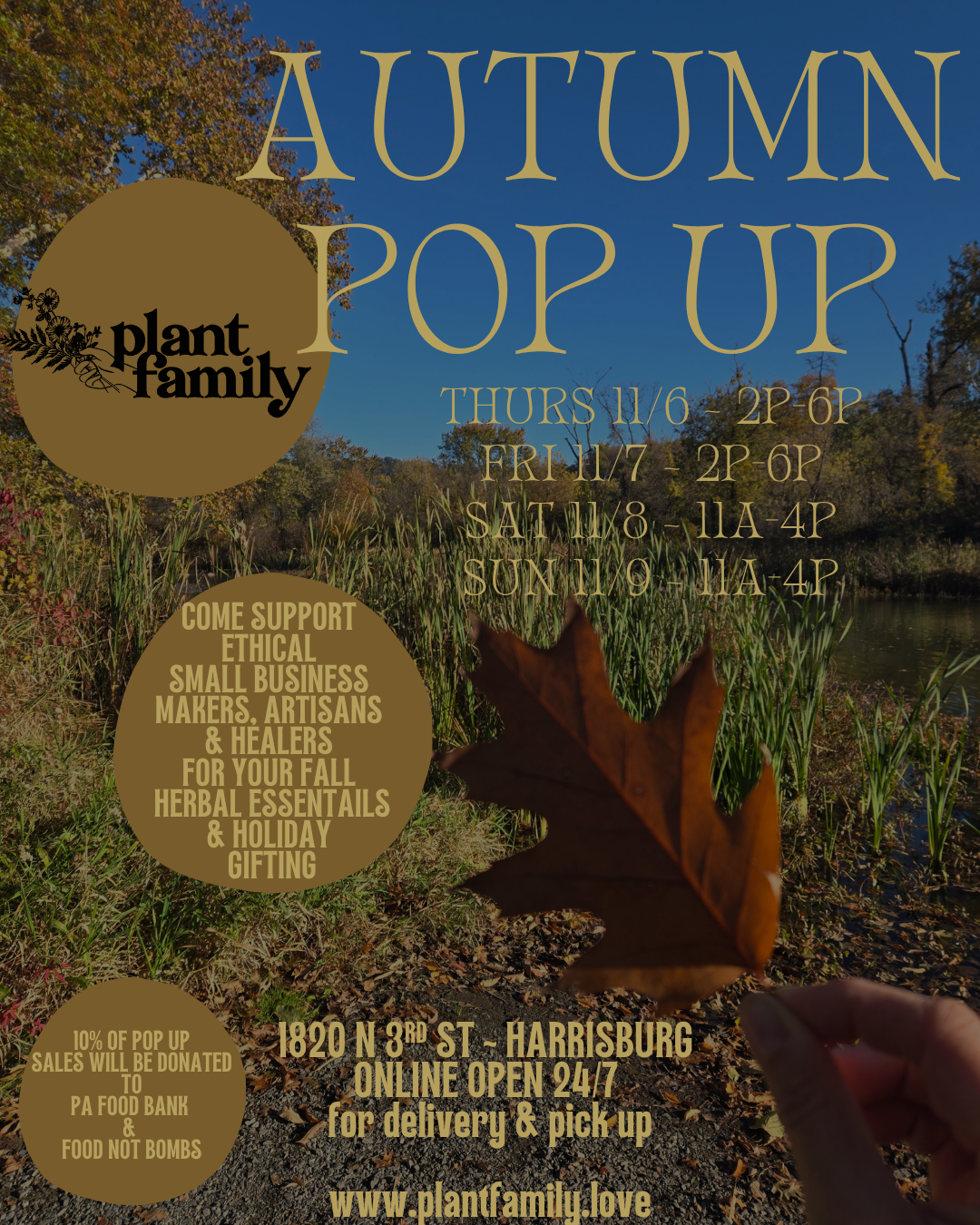 AUTUMN POP UP