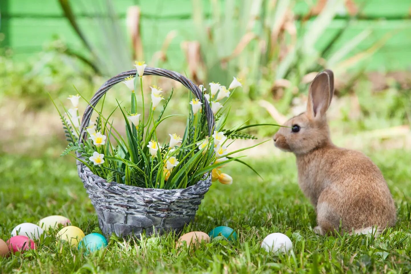Happy Easter from LawVolution!!

When you need help, we're here.  Our objective is not just to help you survive but to thrive ⚖️&hearts;️

1 833 90LVLAW (58529)
www.lawvolution.ca

#law #lawyer #lawpractice #familylaw #weseeyou #victoria #britishcolu
