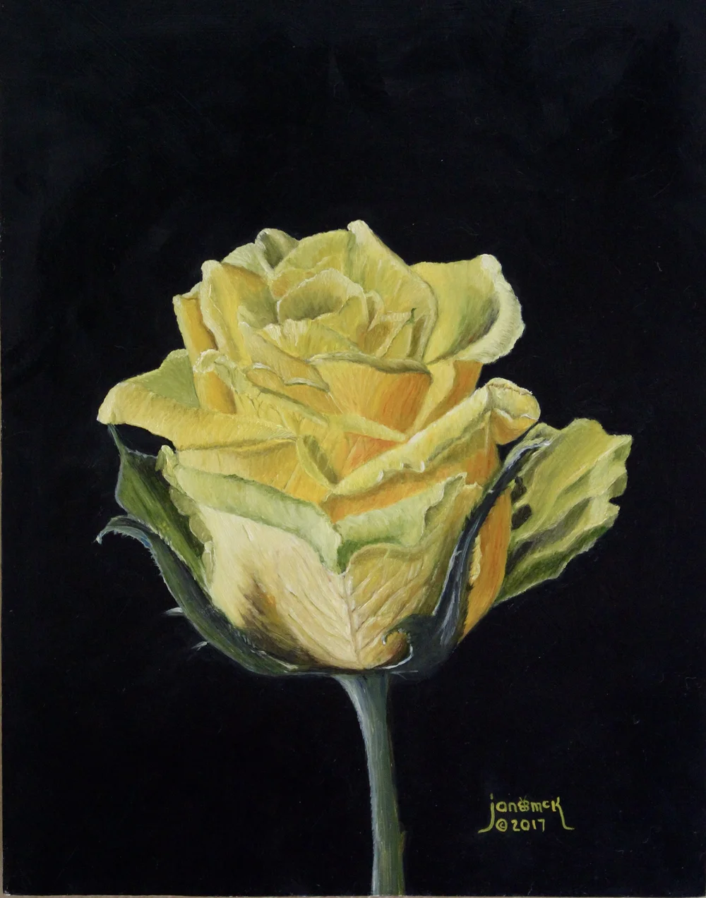 IMG_6495.JPG?format=1000w